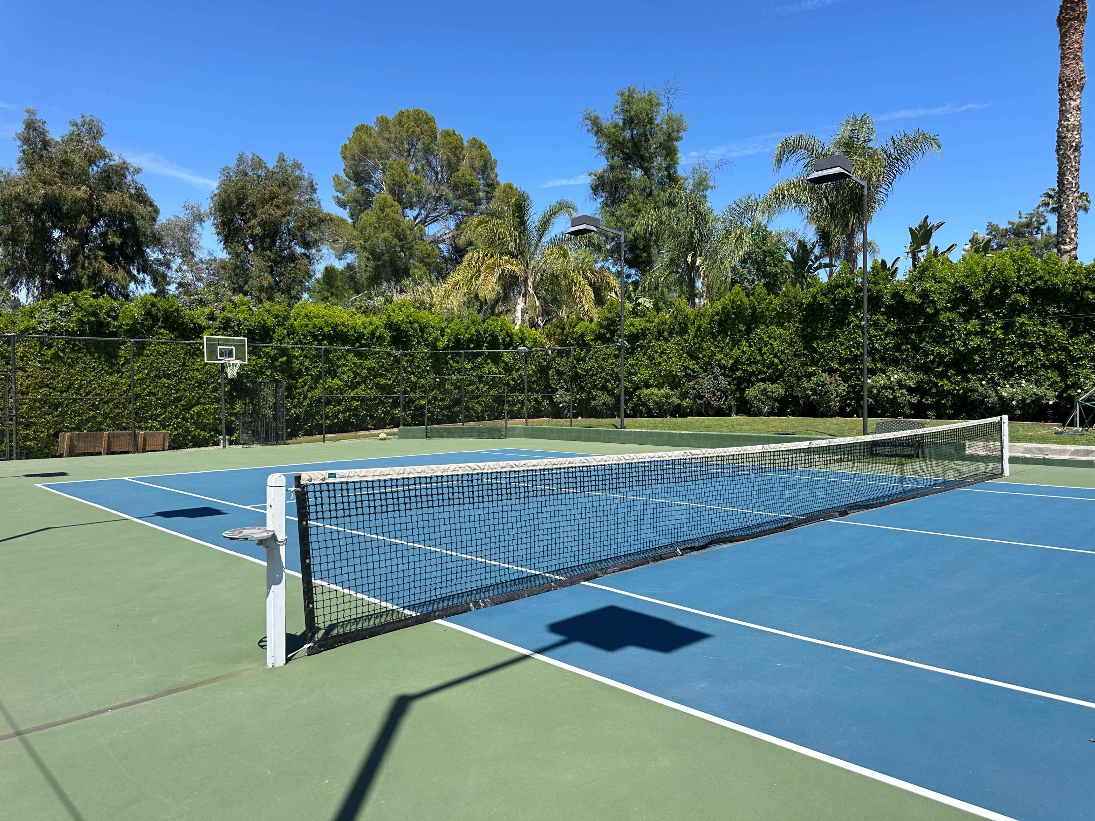 A tennis court with a visible net is surrounded by greenery and features a basketball hoop in the background.