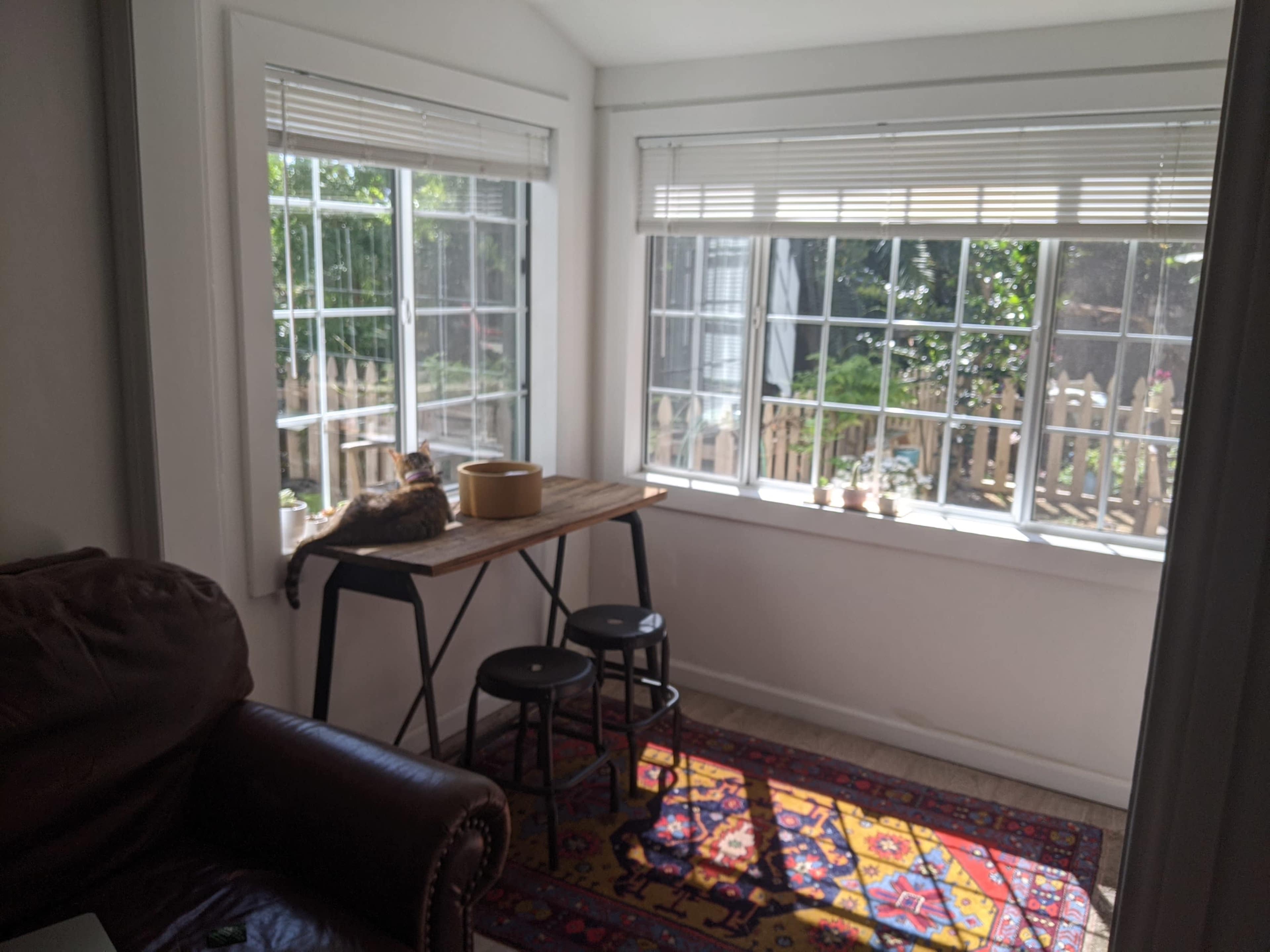 A sunlit corner features a table with a cat lounging on it, two stools nearby, and large windows providing a view of an outdoor garden.