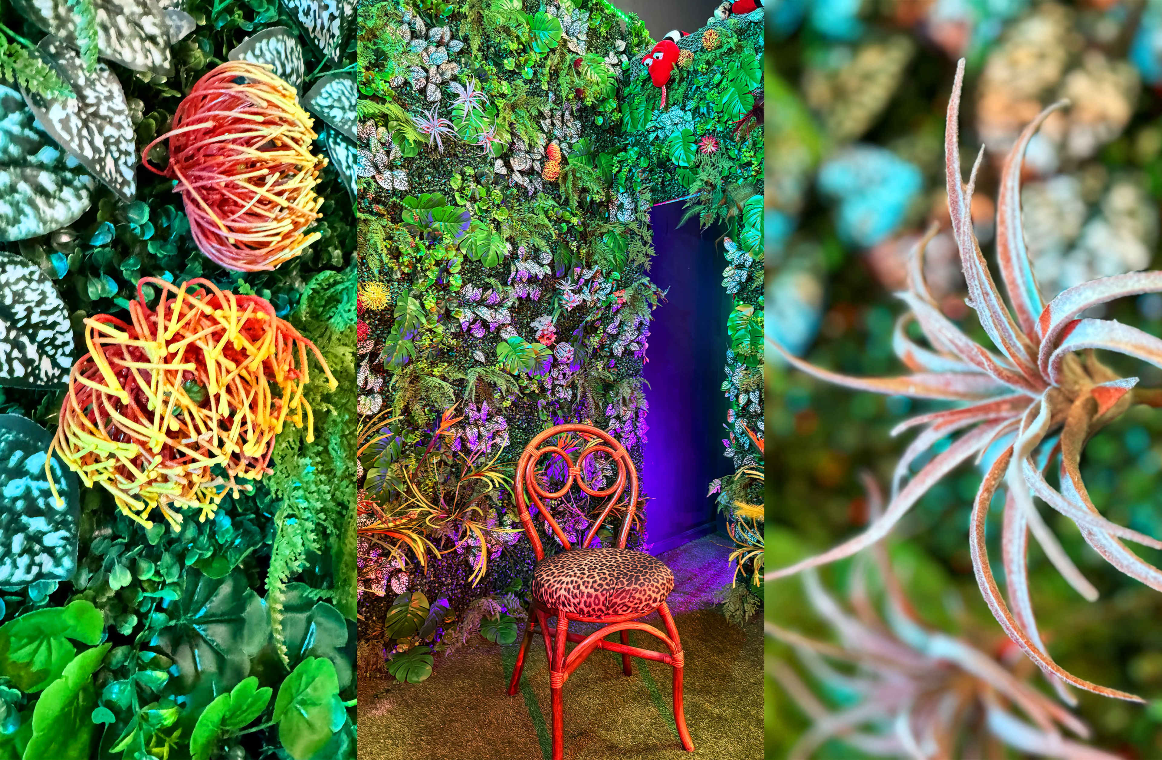 The image features a vibrant, nature-themed display with a wall of greenery, colorful plants, and a decorative chair in front of it.