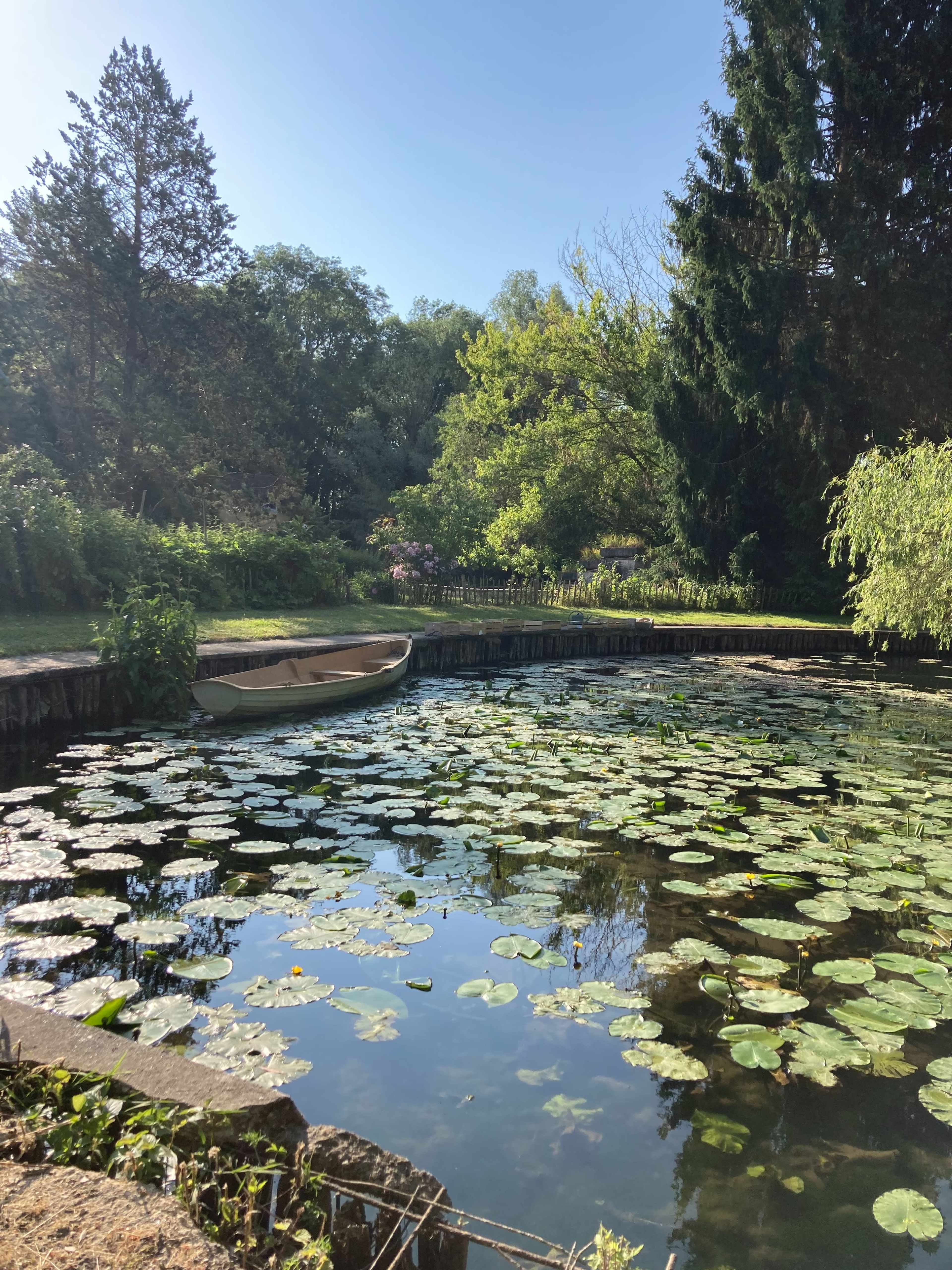A small boat is moored beside a pond covered in lily pads, surrounded by trees and vibrant greenery.