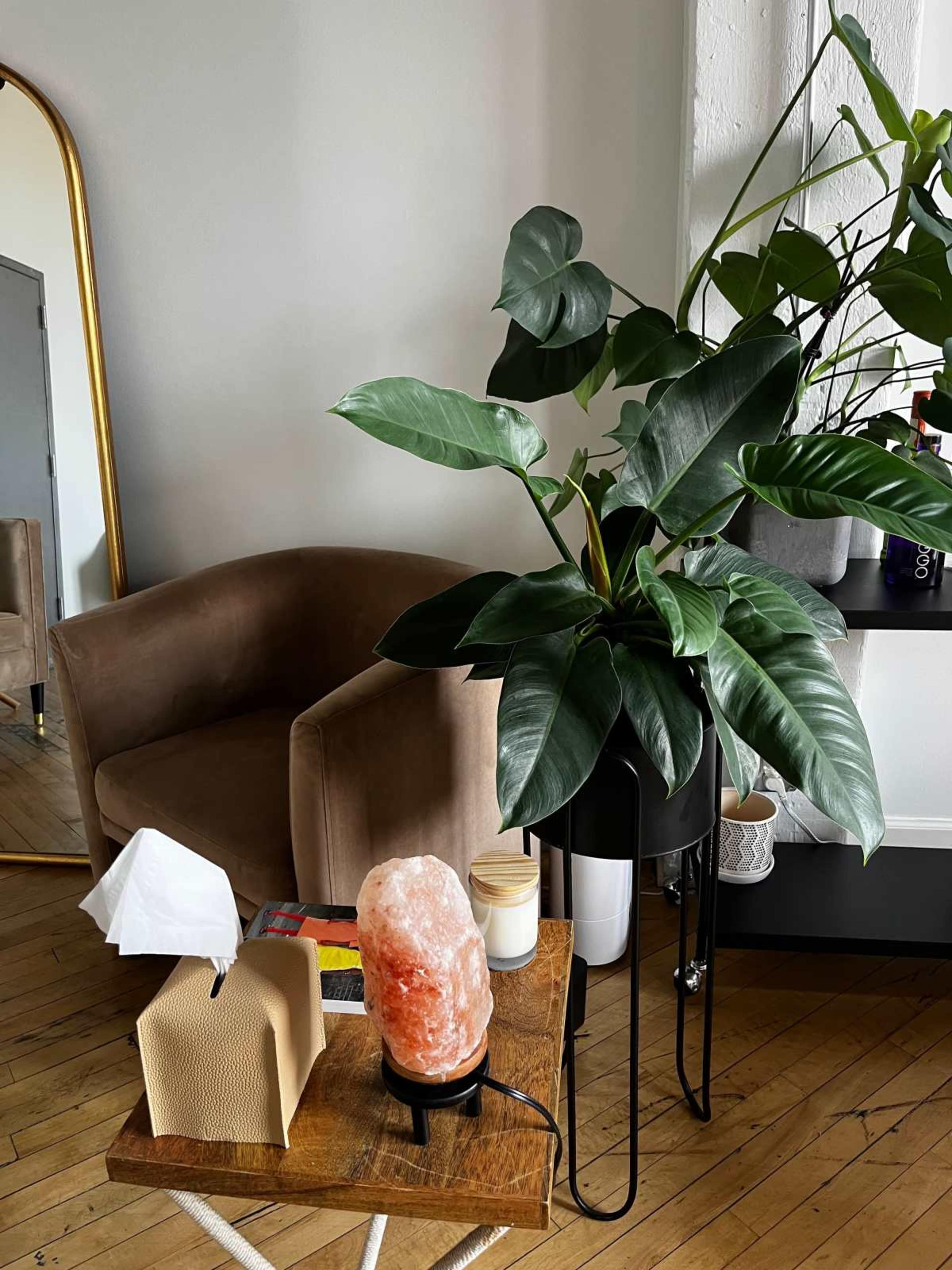 Airy Sun-filled Riverfront Loft Image in Lower West Side, Chicago, IL
