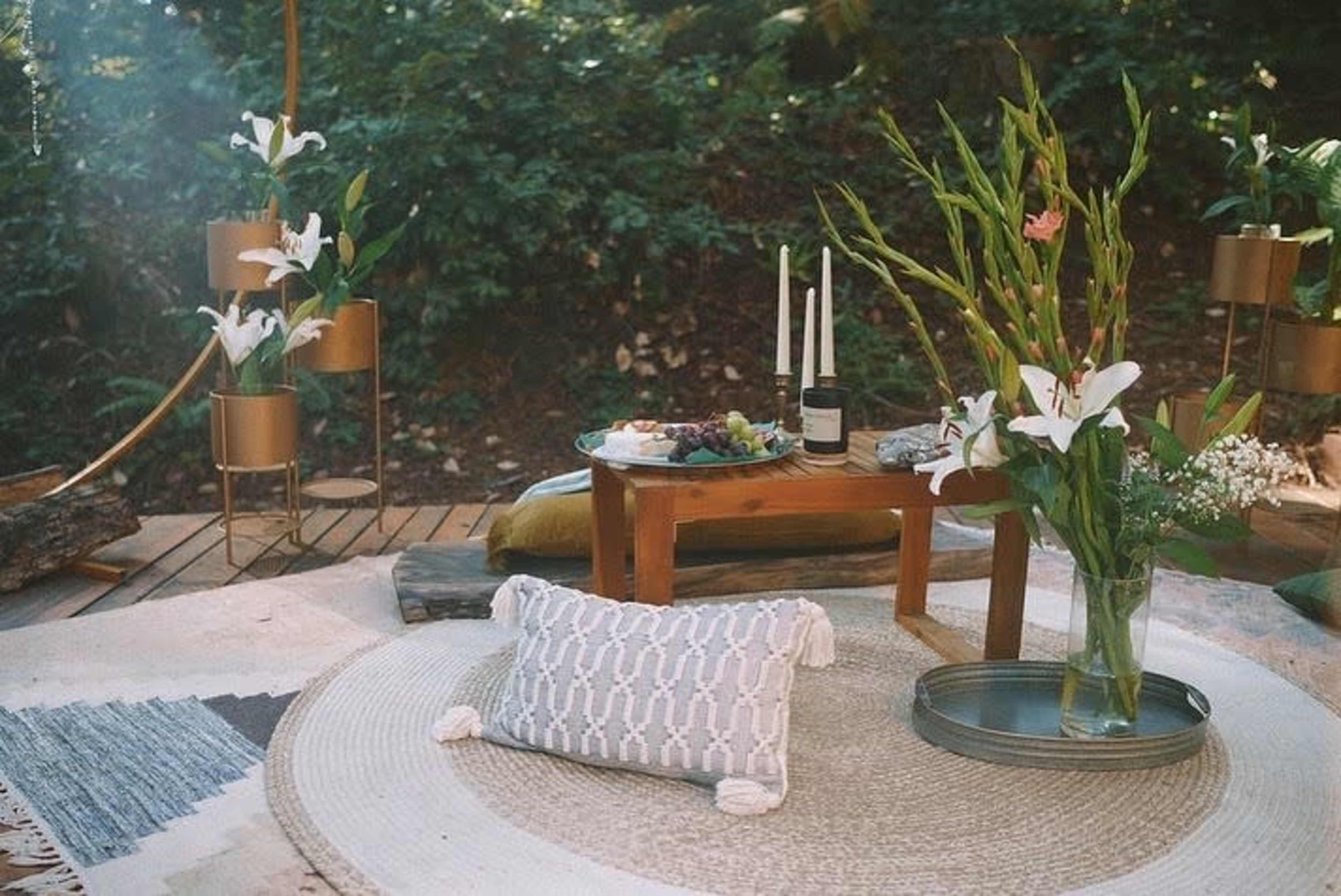 Redwood Radiance: Outdoor & Lifestyle Photoshoot Venue Image in Day Valley, Aptos, CA