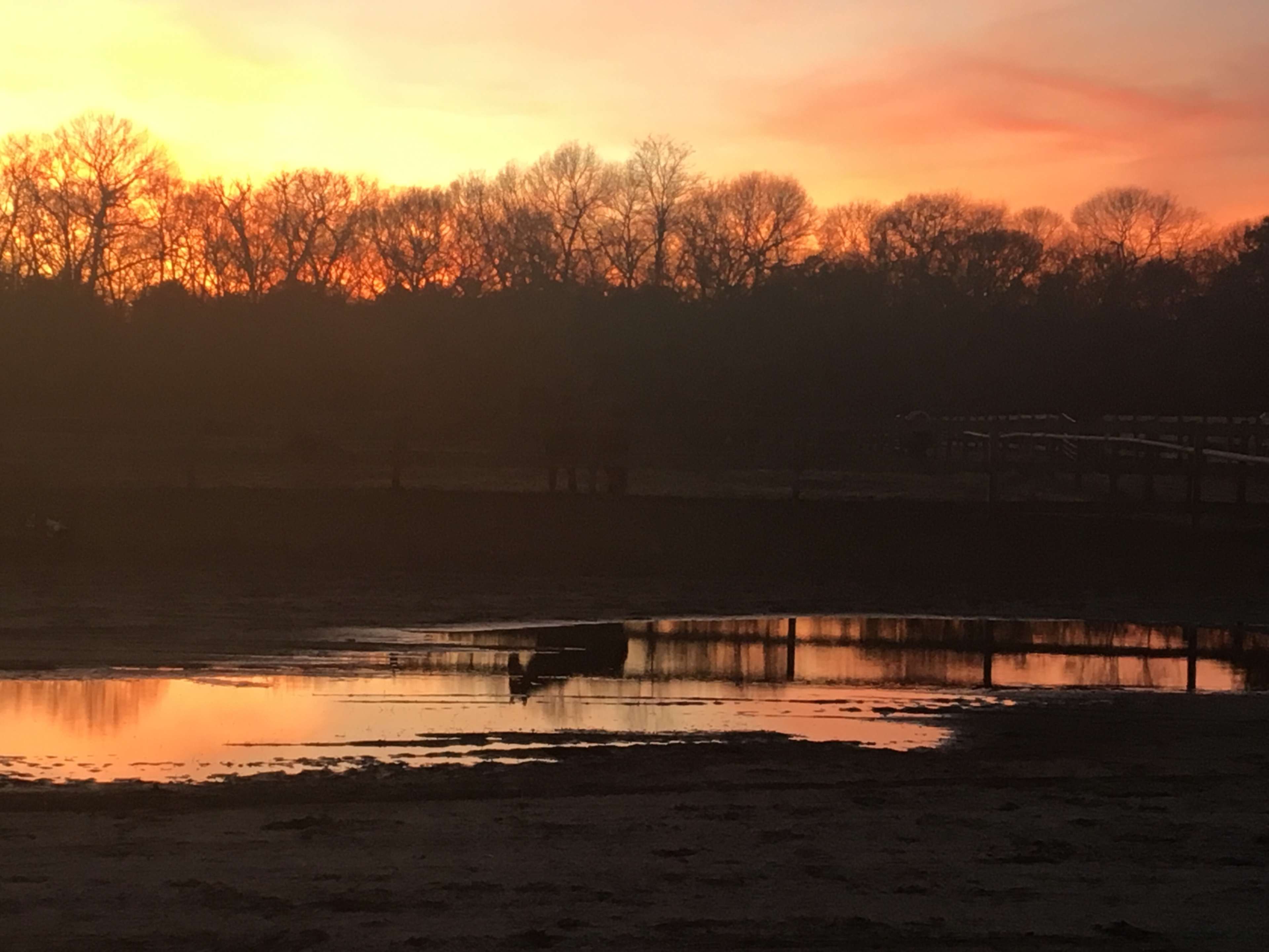 A silhouetted landscape at sunset features trees and a calm water pool reflecting the vibrant colors of the sky.