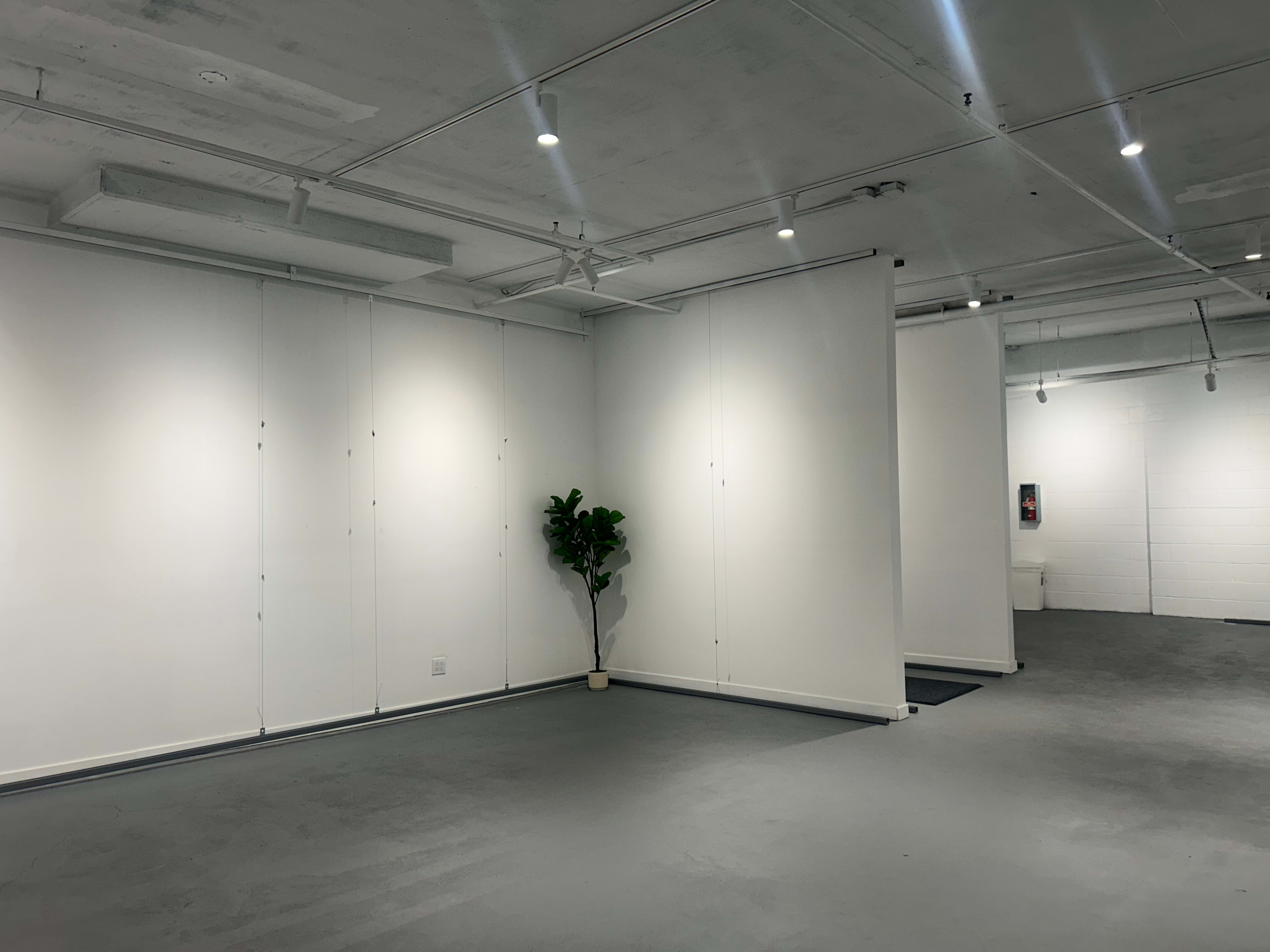The image shows an empty interior space with white walls, a concrete floor, and a single potted plant in the corner.