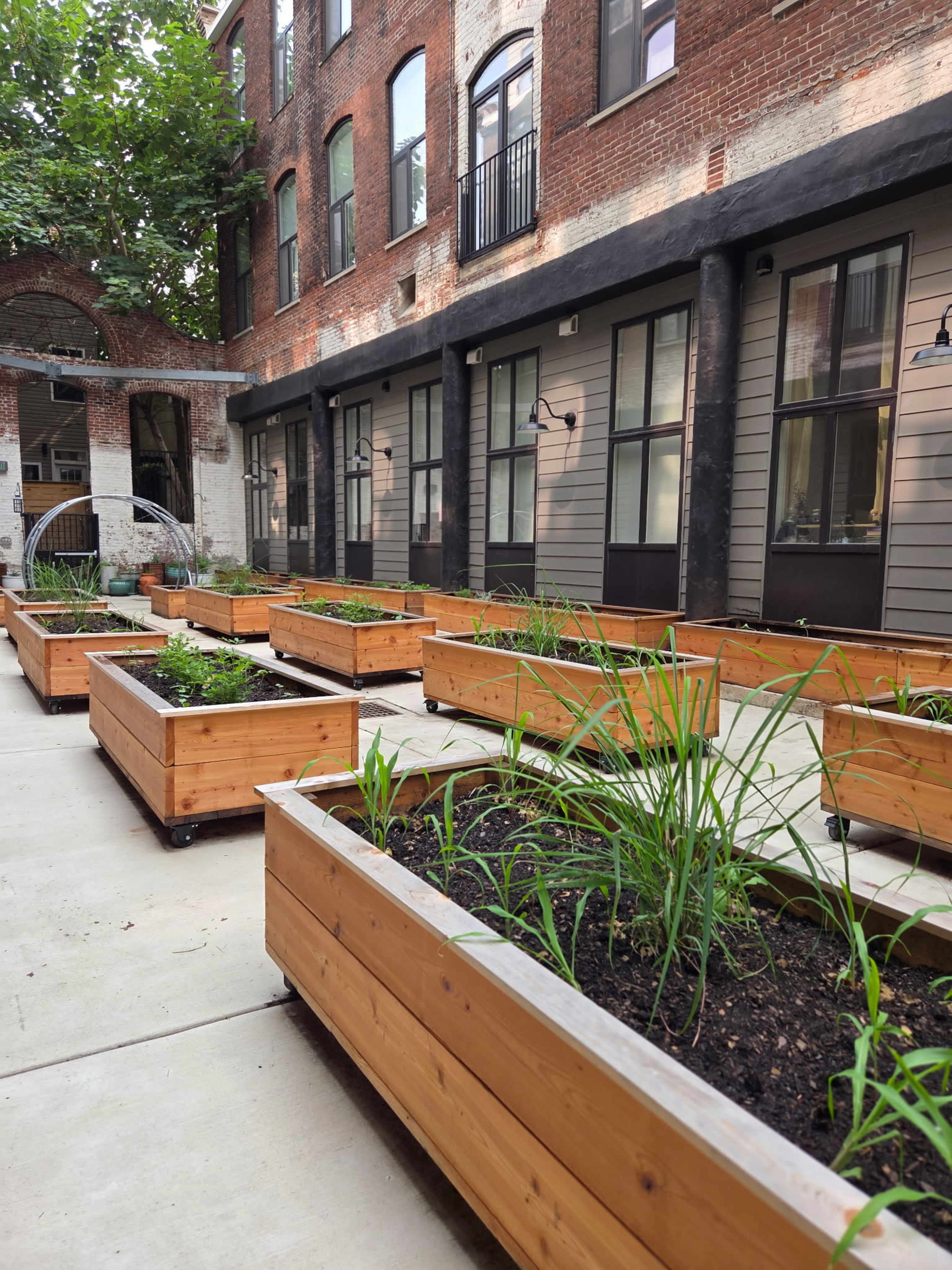 The image shows a courtyard with wooden planter boxes filled with soil and plants, bordered by brick and wooden buildings.