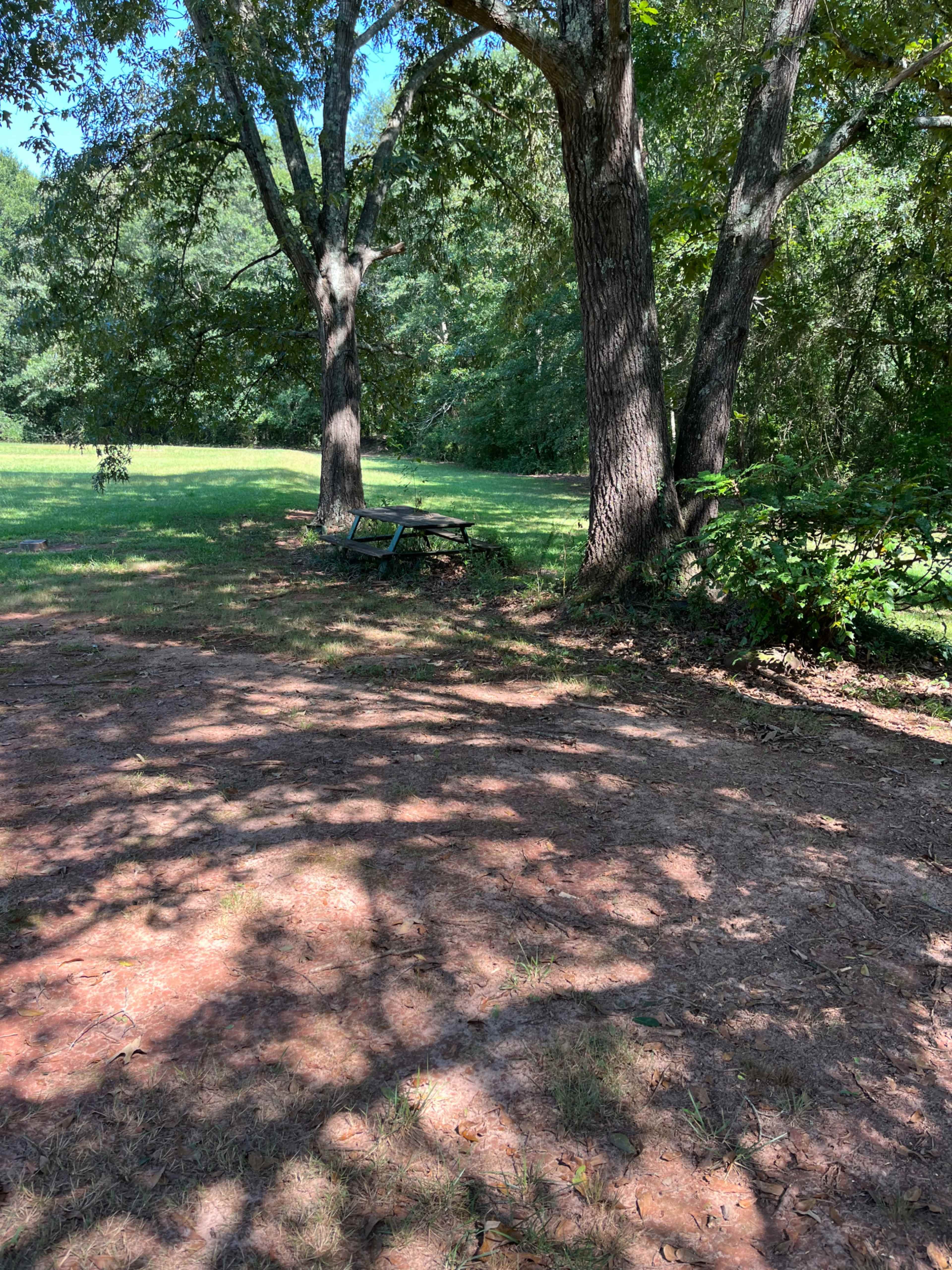 Great Blank Canvas-Semi-private, partially fenced, partially wooded 4.4 Acre Backyard Lot Image in Powdersville, Easley, SC