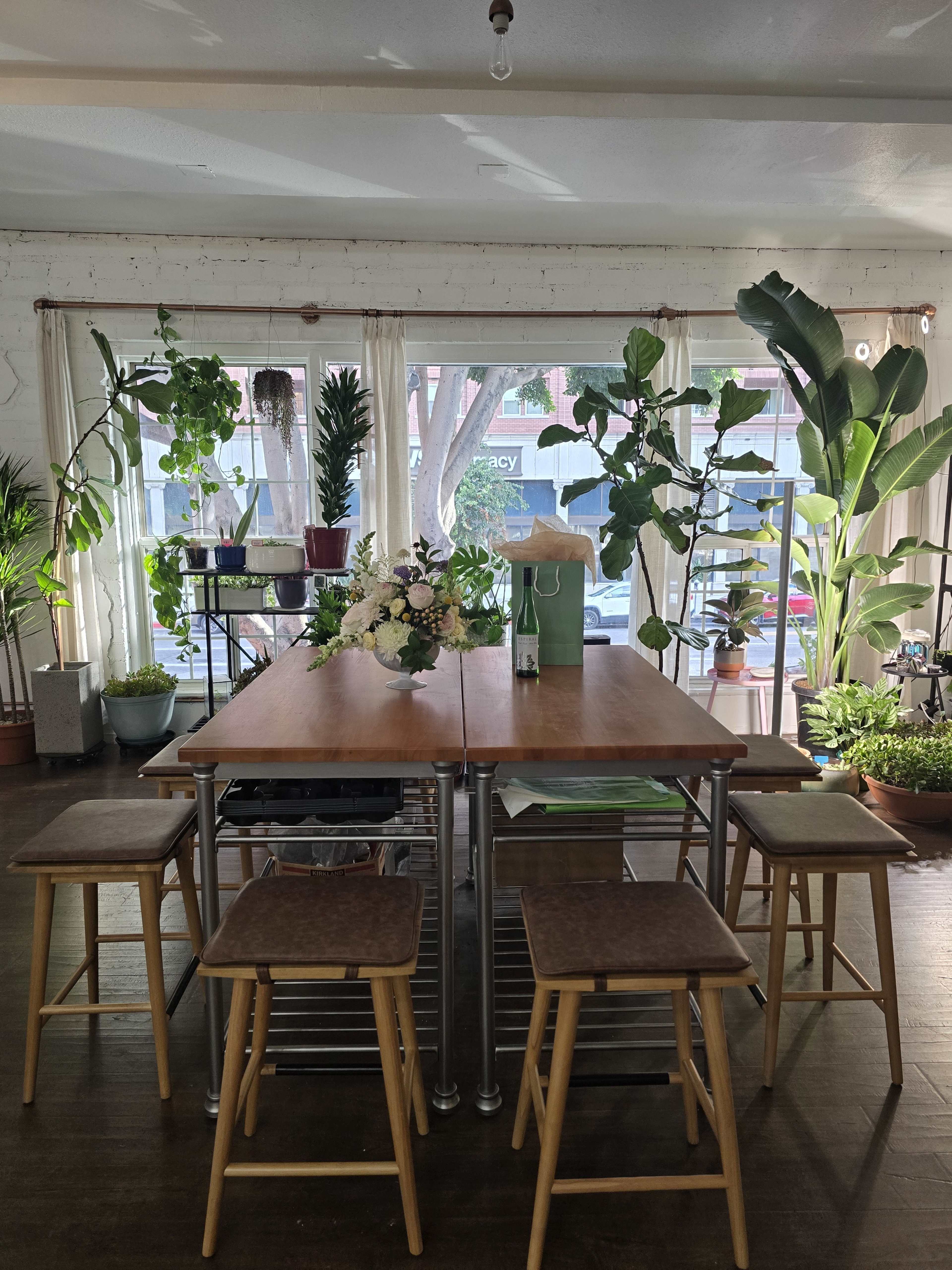 A dining table is surrounded by four stools in a sunlit room filled with various potted plants.