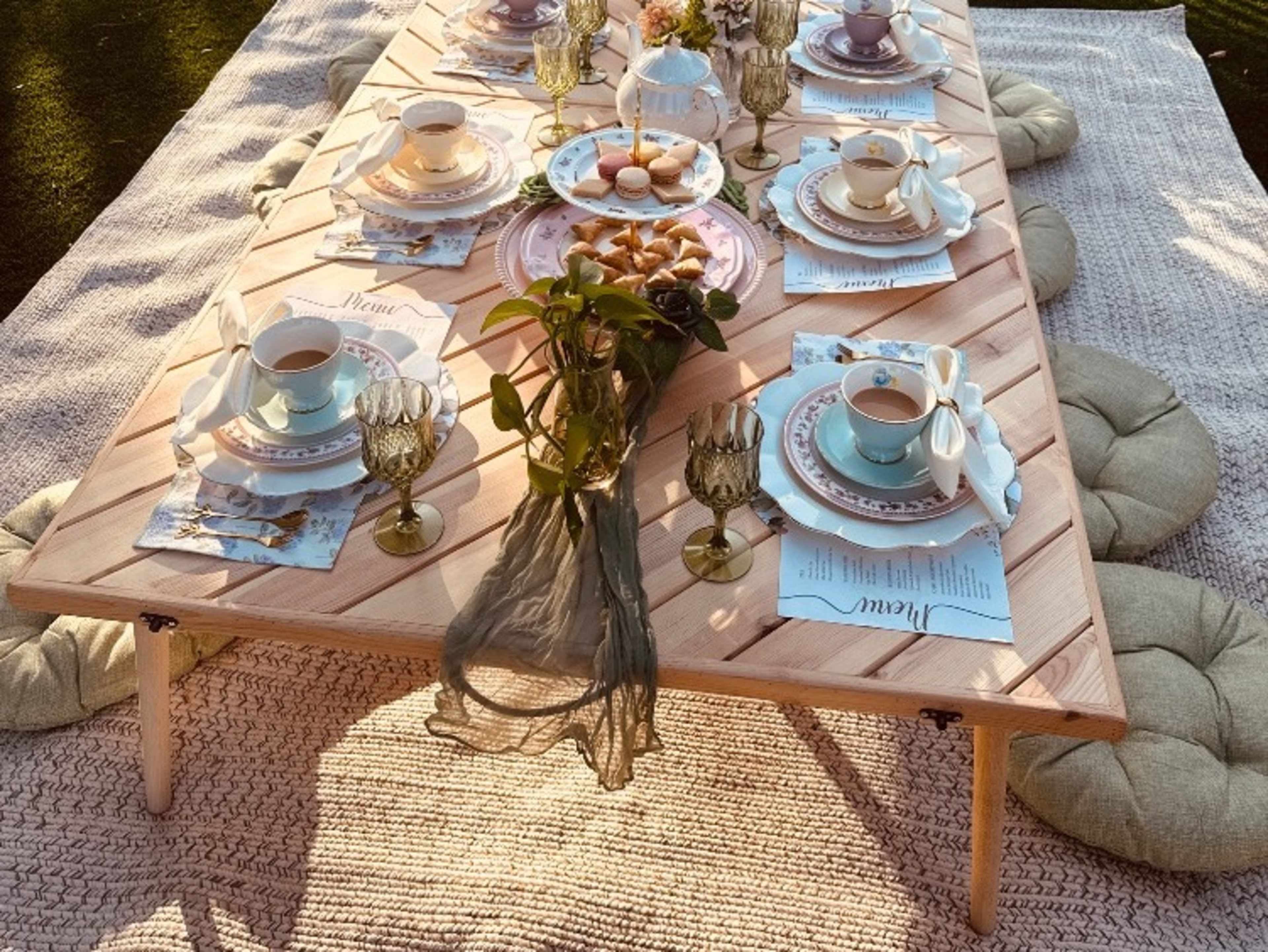 Picnic Setups