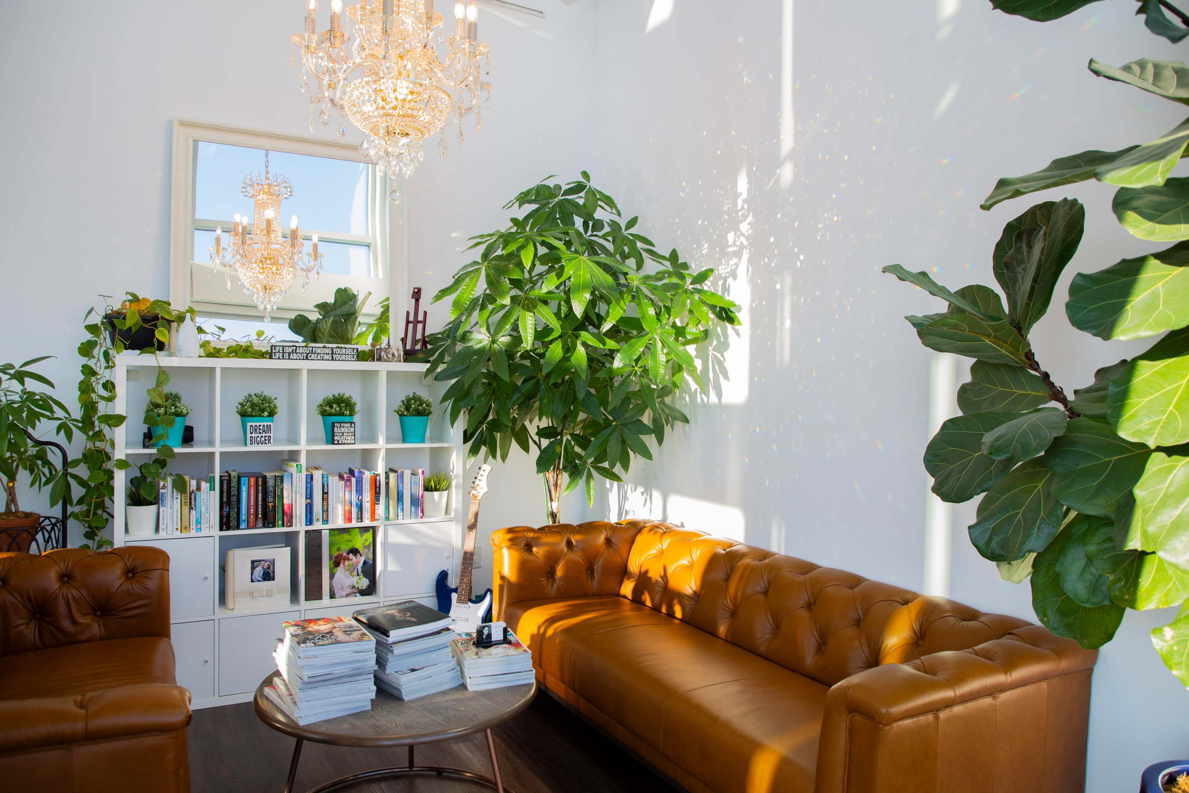 The image shows a bright, modern living space featuring a leather sofa, a coffee table stacked with magazines, and a bookshelf surrounded by lush green plants and a chandelier.