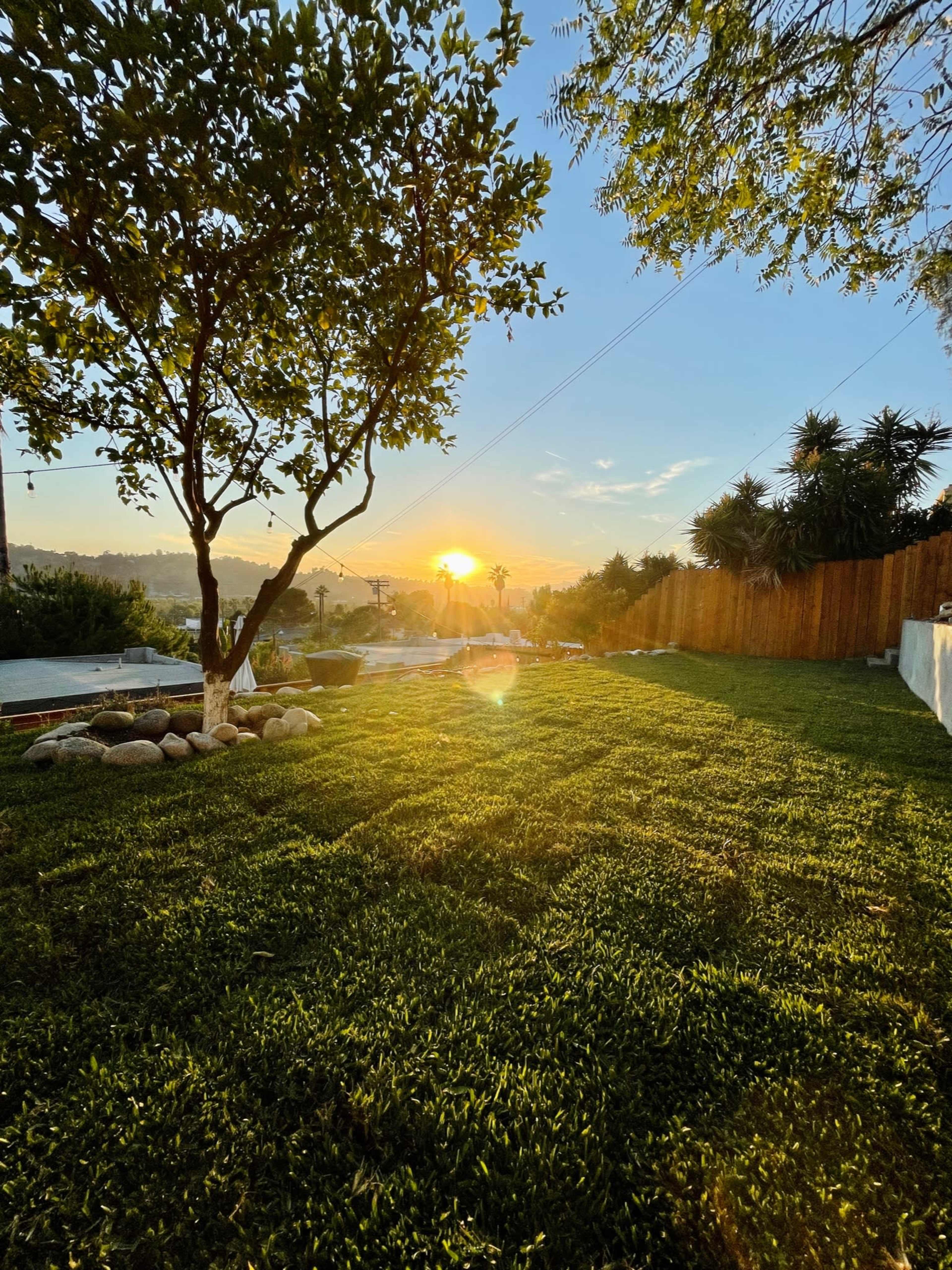 The sun sets behind a hillside, casting light over a green lawn bordered by a tree and wooden fence.