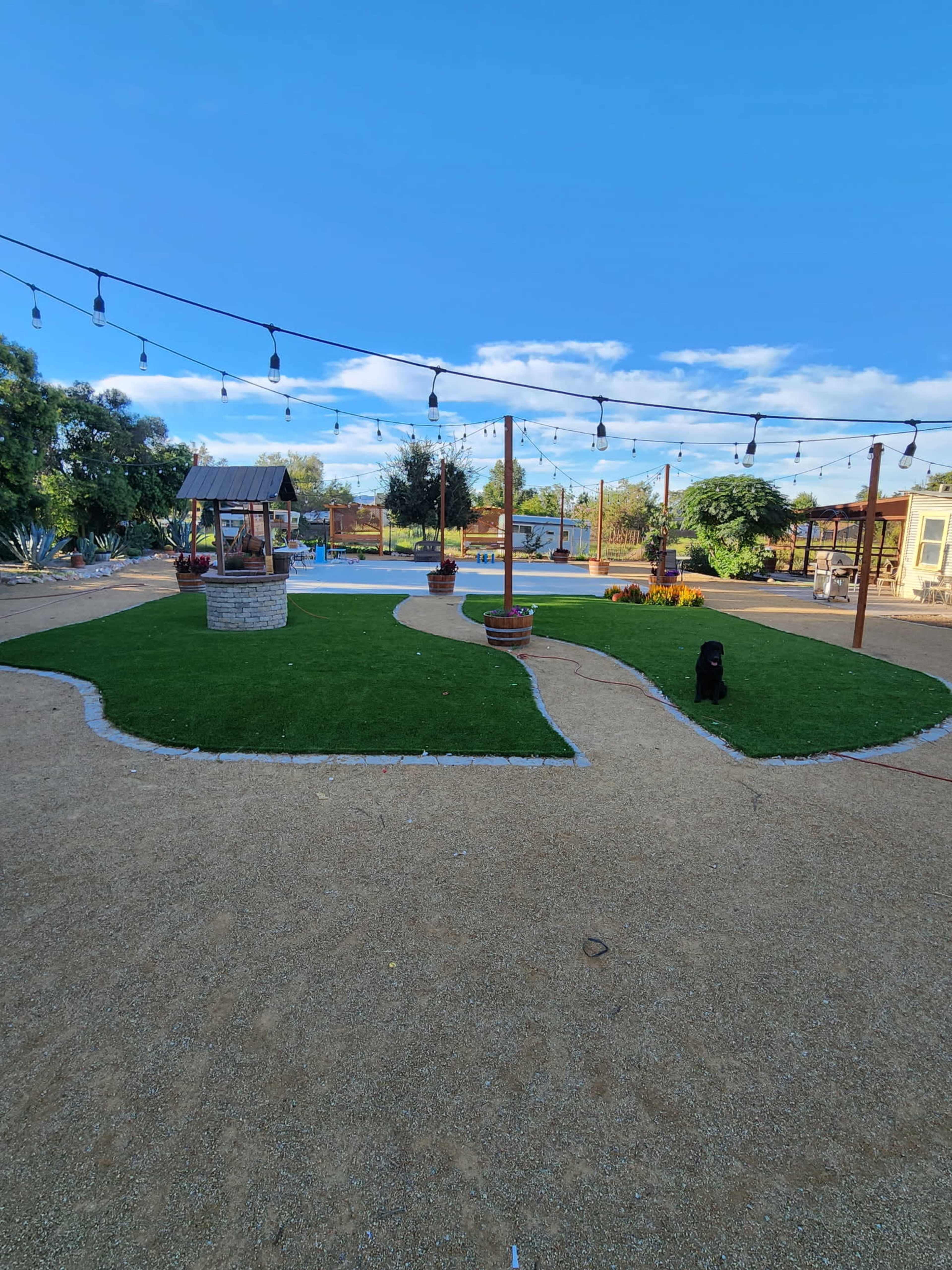 The image shows a landscaped backyard featuring a grassy area with curving paths, decorative planters, a gazebo, and a pool surrounded by string lights against a blue sky.