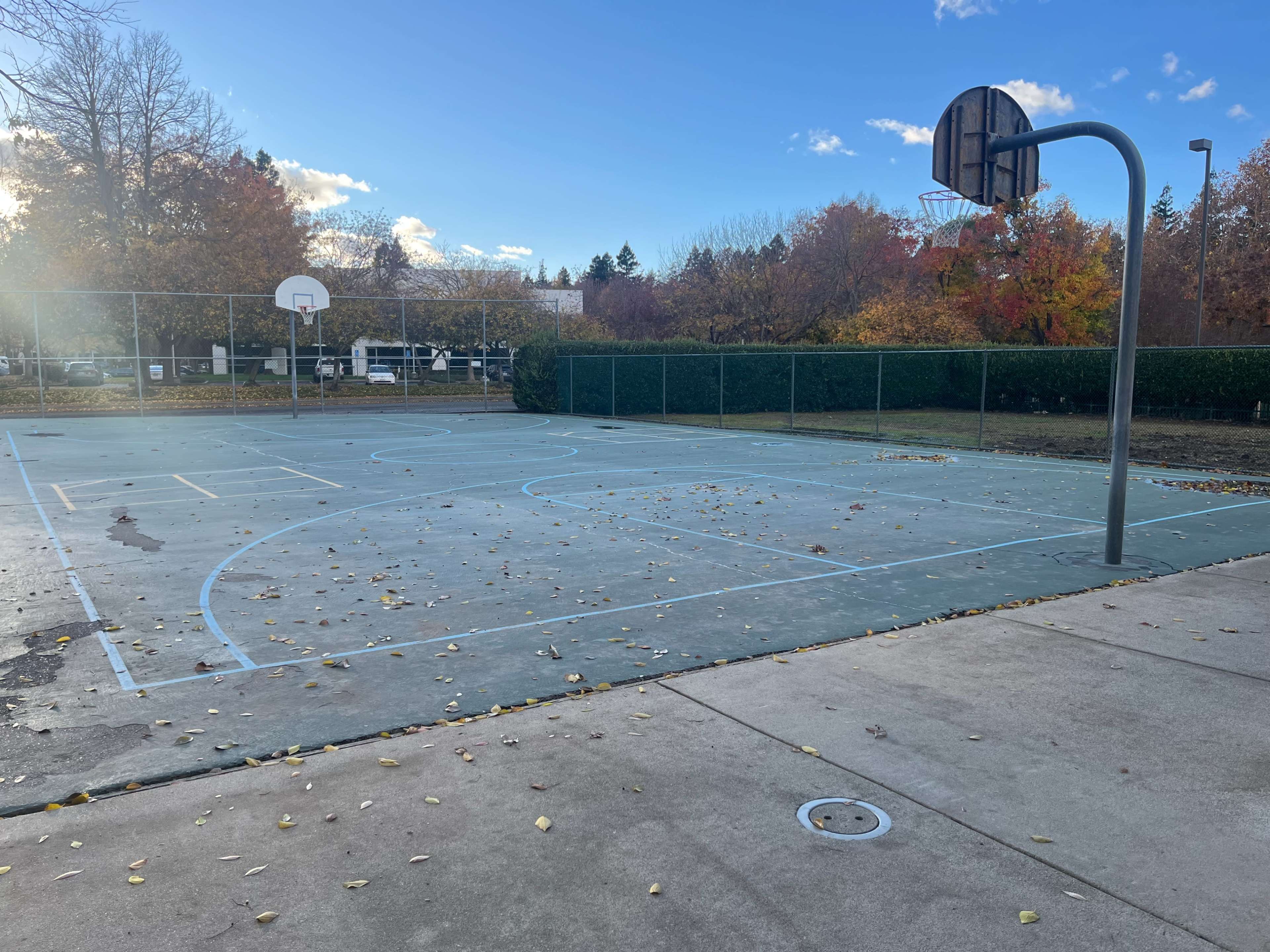 A basketball court with scattered leaves and no players is set against a backdrop of trees with autumn foliage.