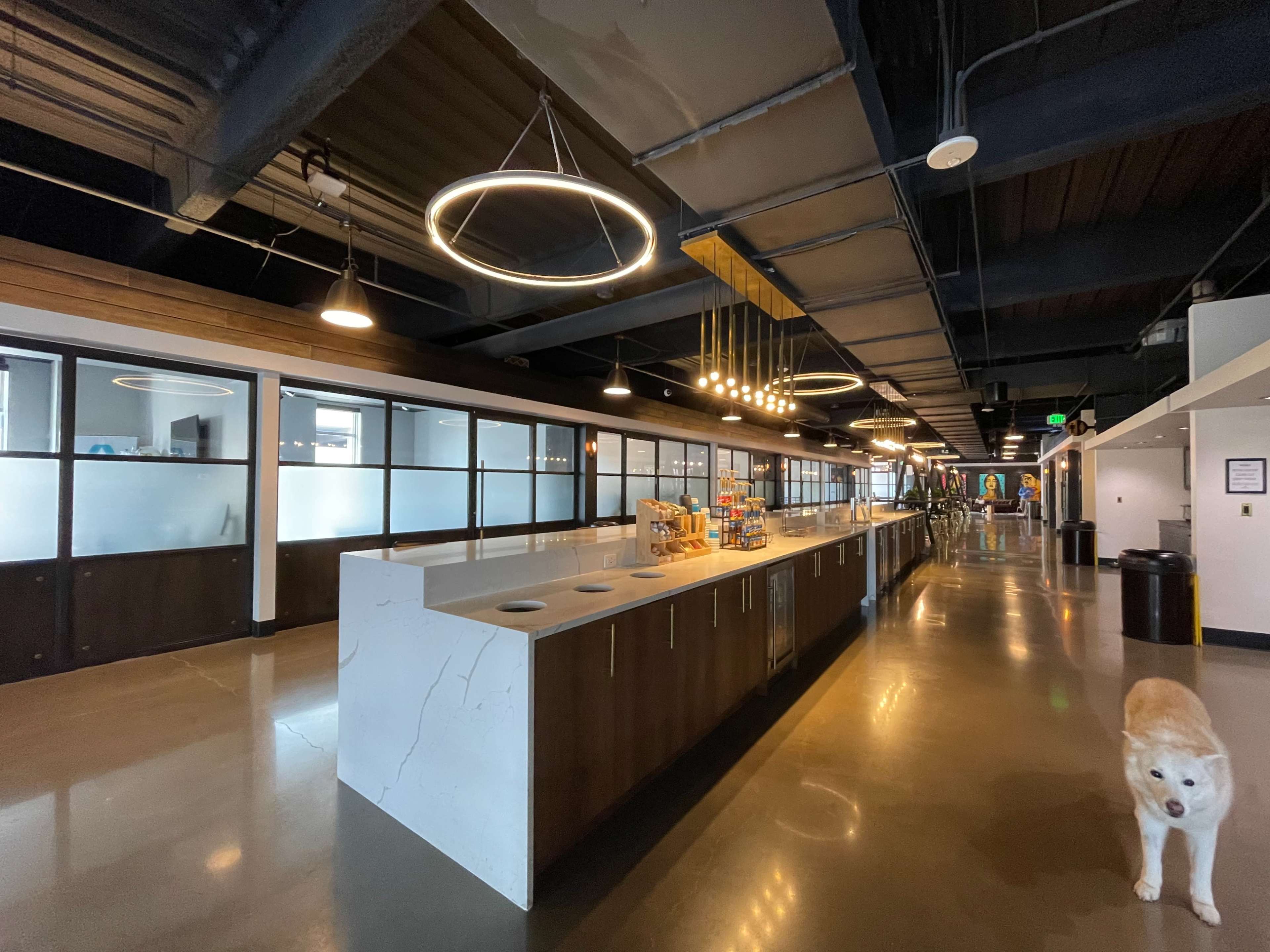 A modern, open office space featuring a long countertop with refreshments, overhead lighting, and glass-enclosed meeting rooms along the sides.