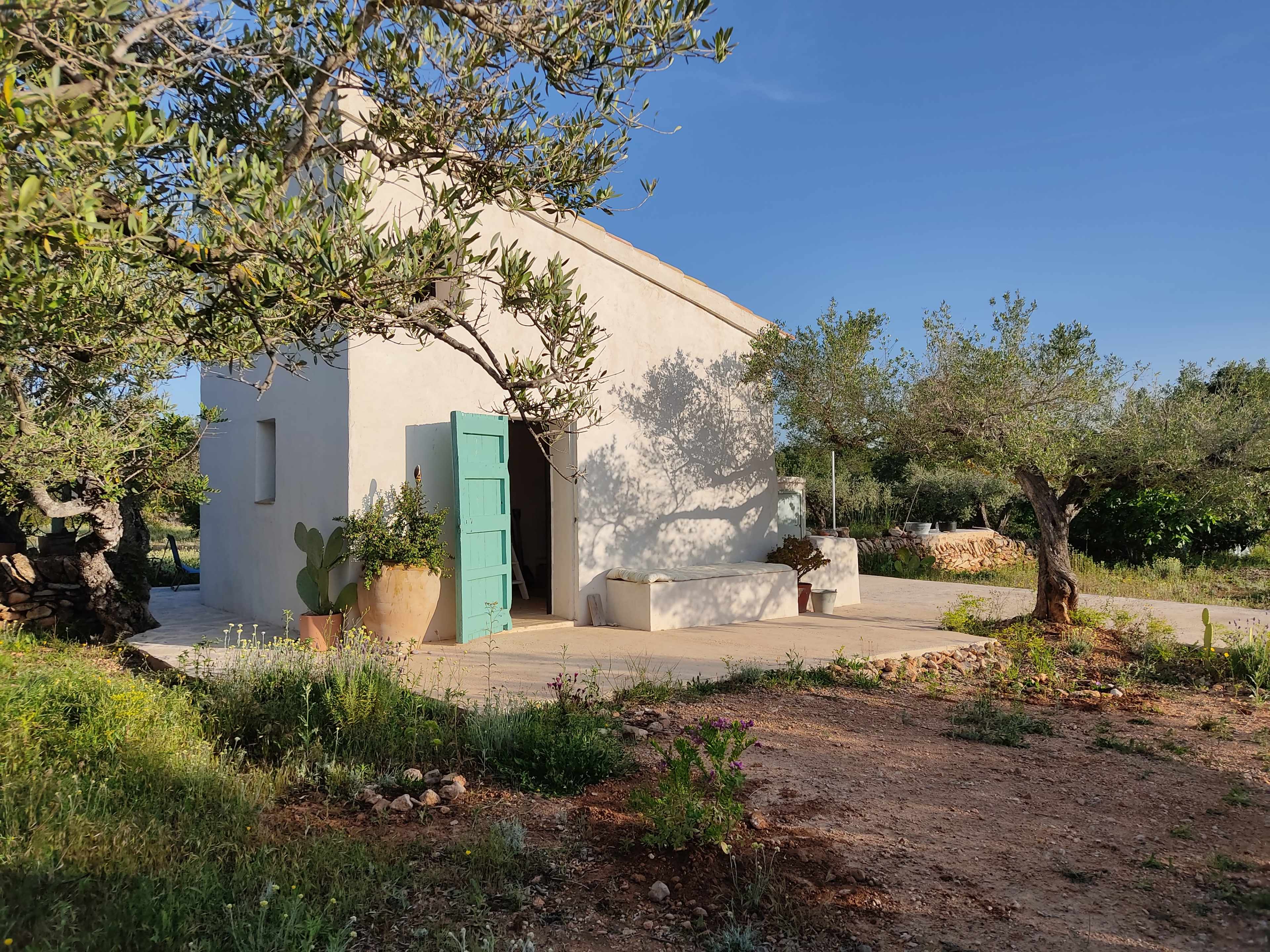 A small white house with a green door is surrounded by olive trees and a gravel path.