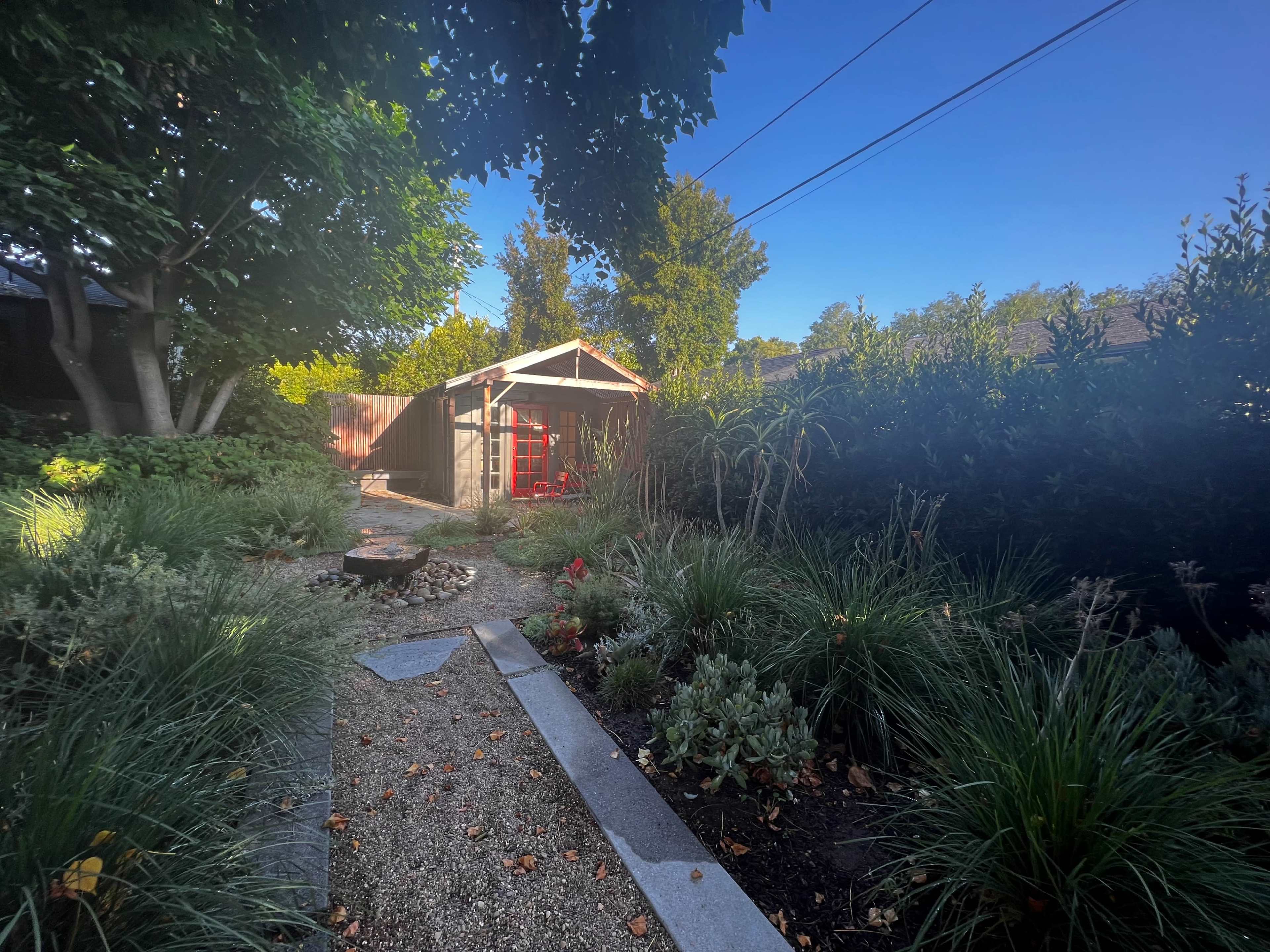The image shows a garden path leading to a shed, surrounded by various plants and trees under a clear blue sky.