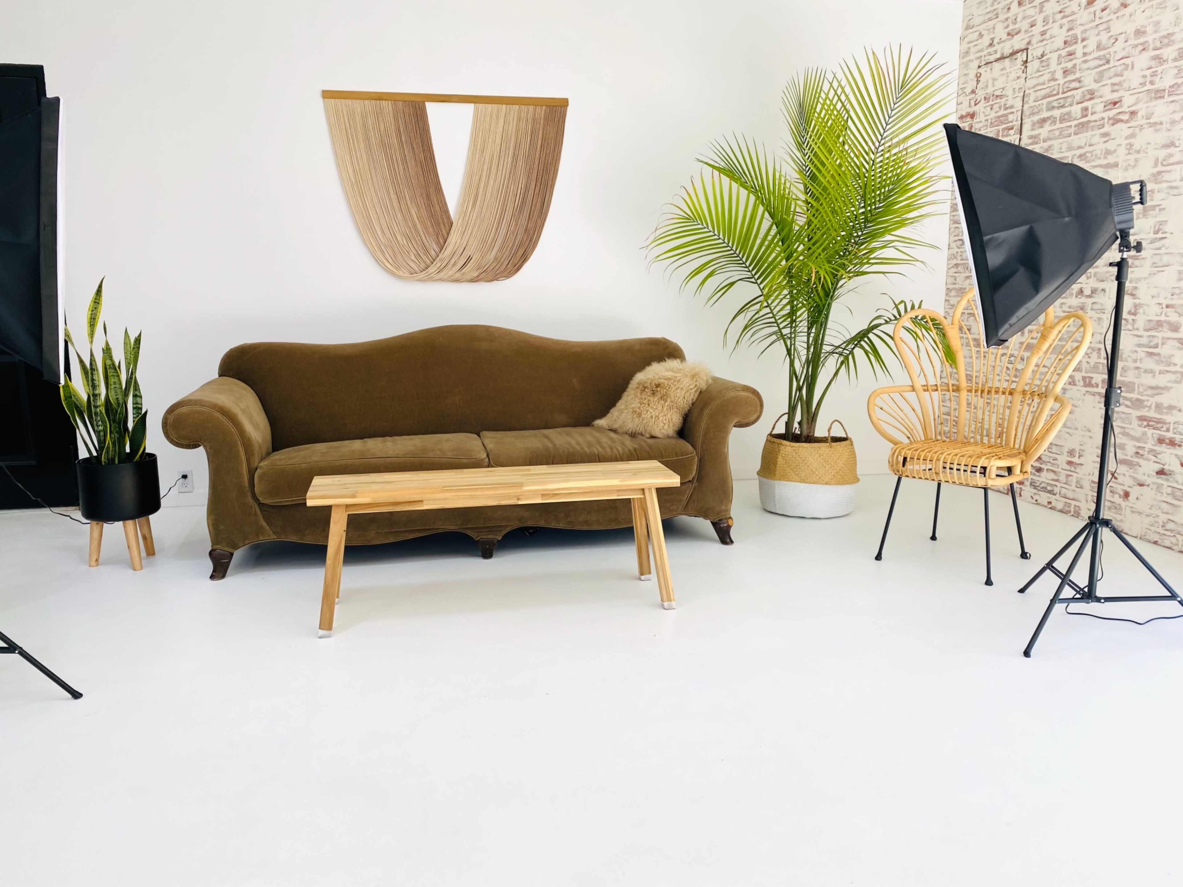 A living room setup featuring a brown sofa, a wooden coffee table, potted plants, and photography lighting equipment.