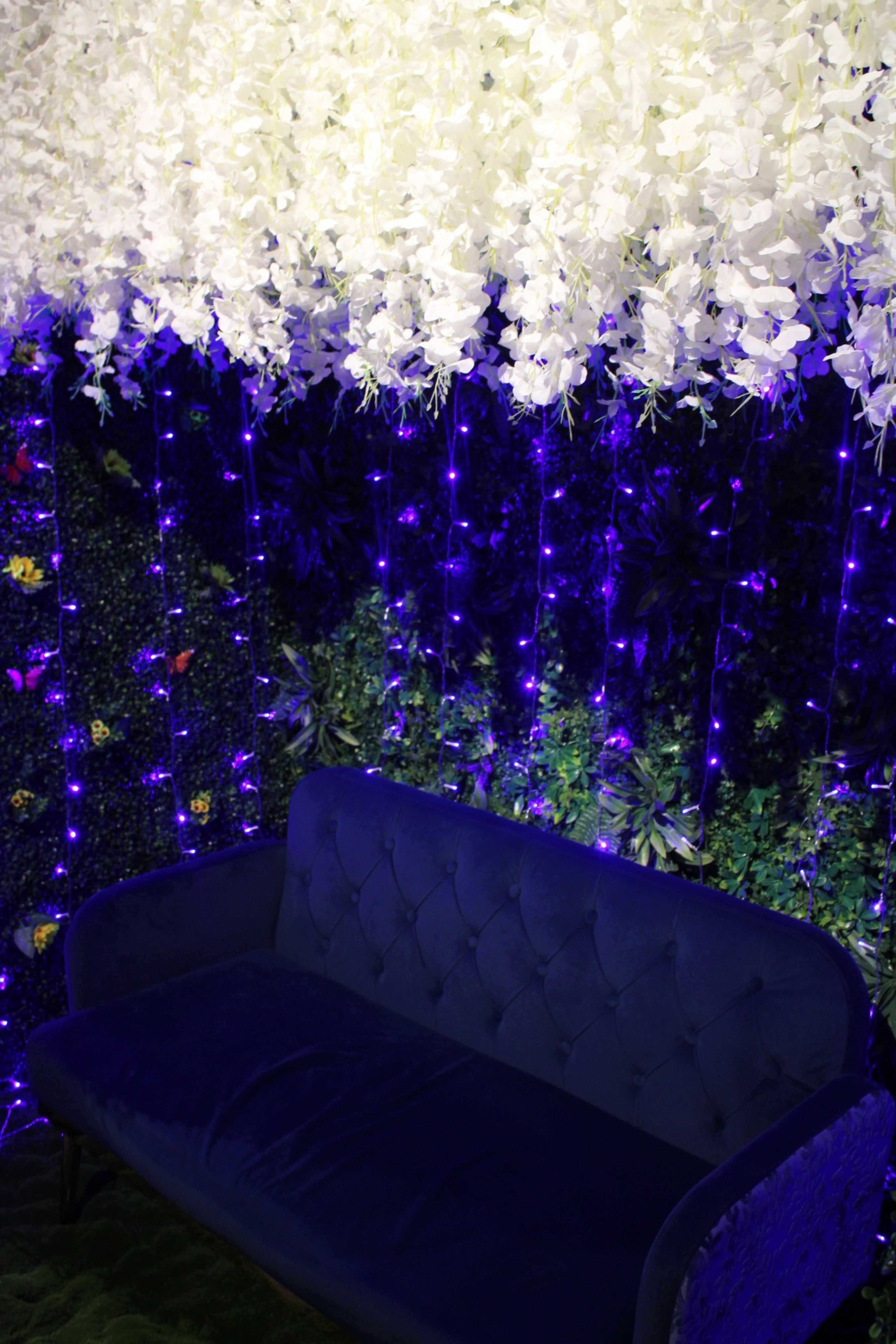 A blue tufted couch is positioned in front of a wall adorned with white flowers and string lights.