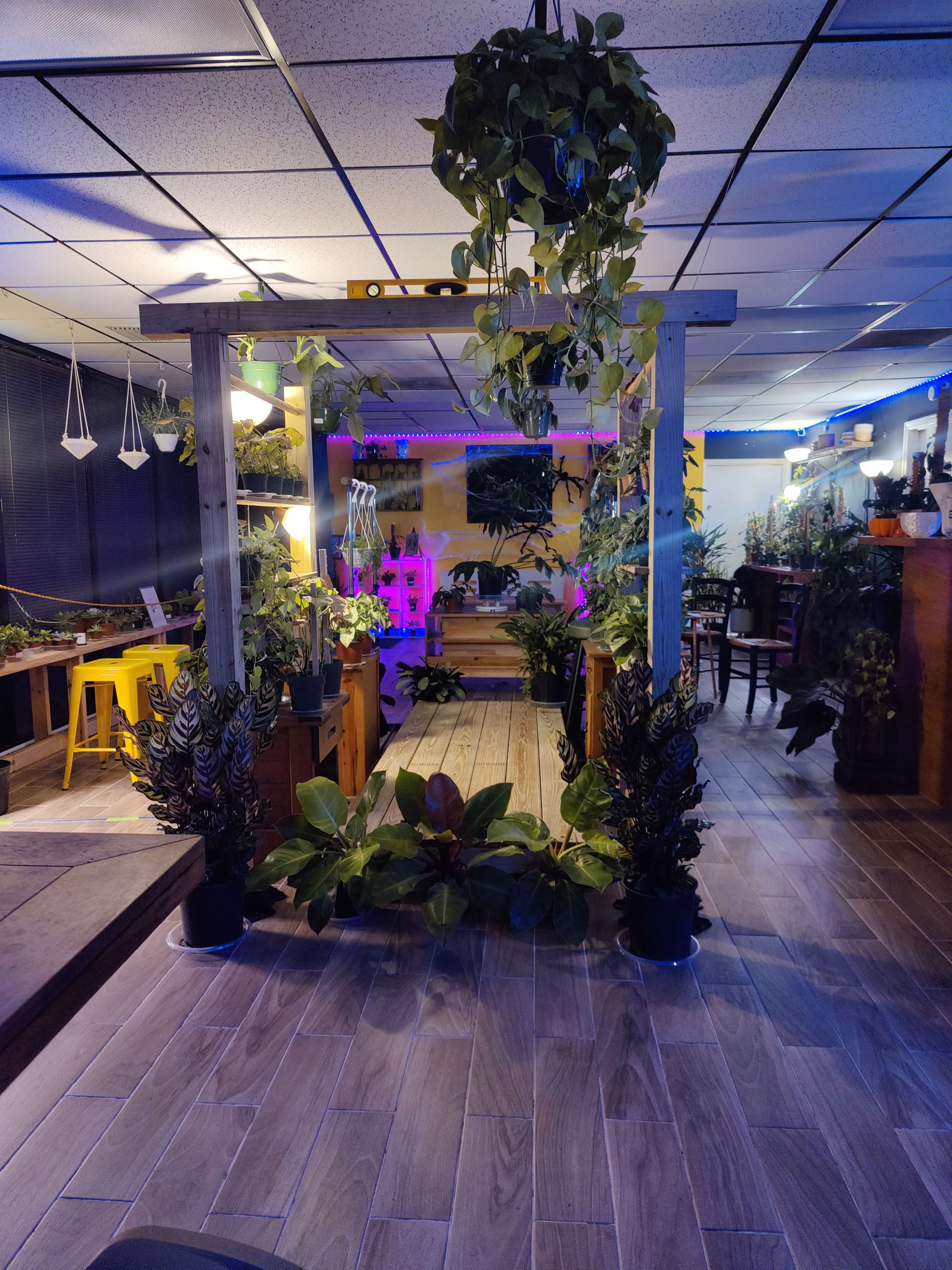 A plant-filled indoor space featuring wooden structures and lively greenery arranged throughout the area.