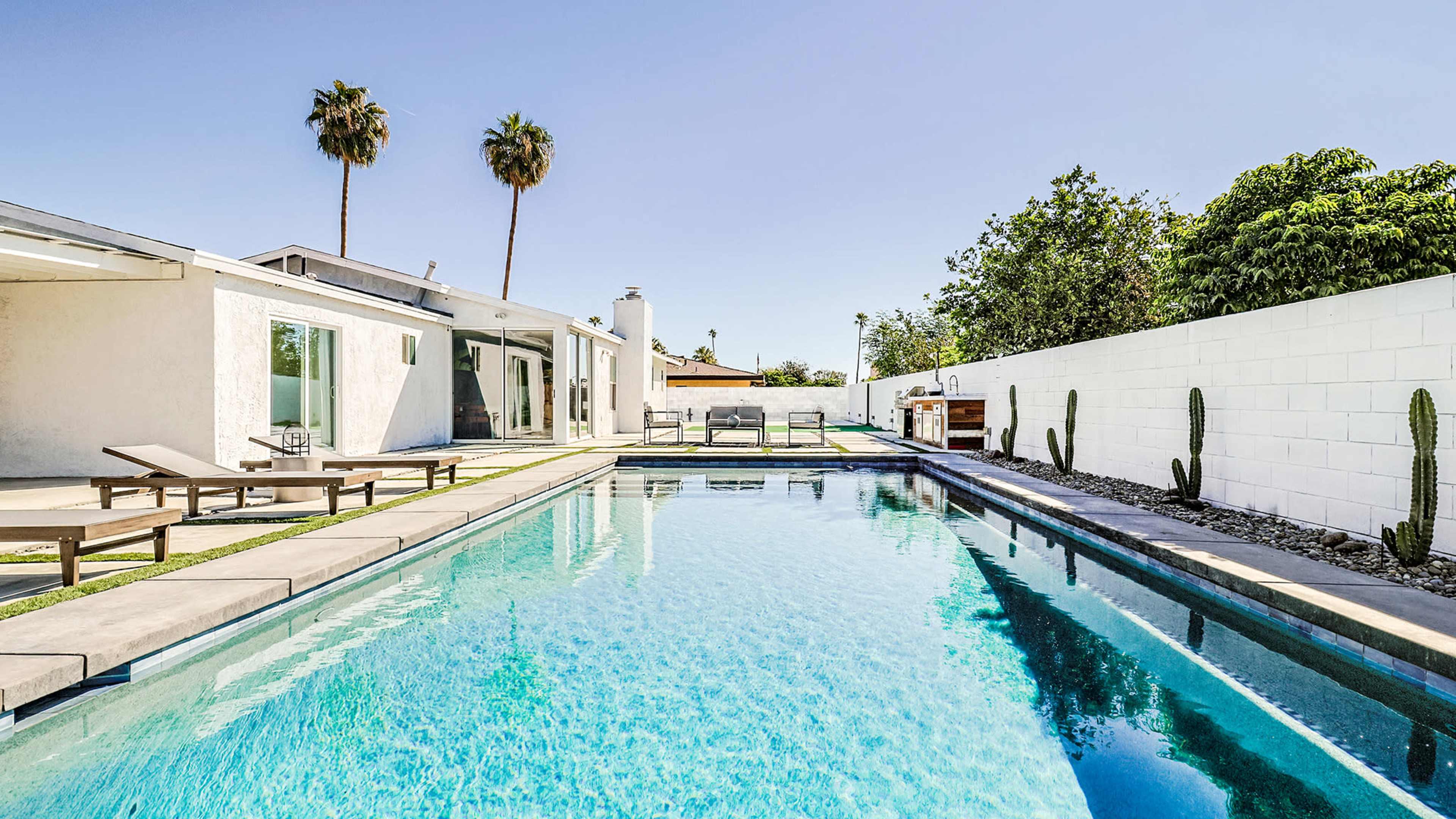 A modern backyard with a pool, lounge chairs, tall palm trees, and a white wall featuring cacti.