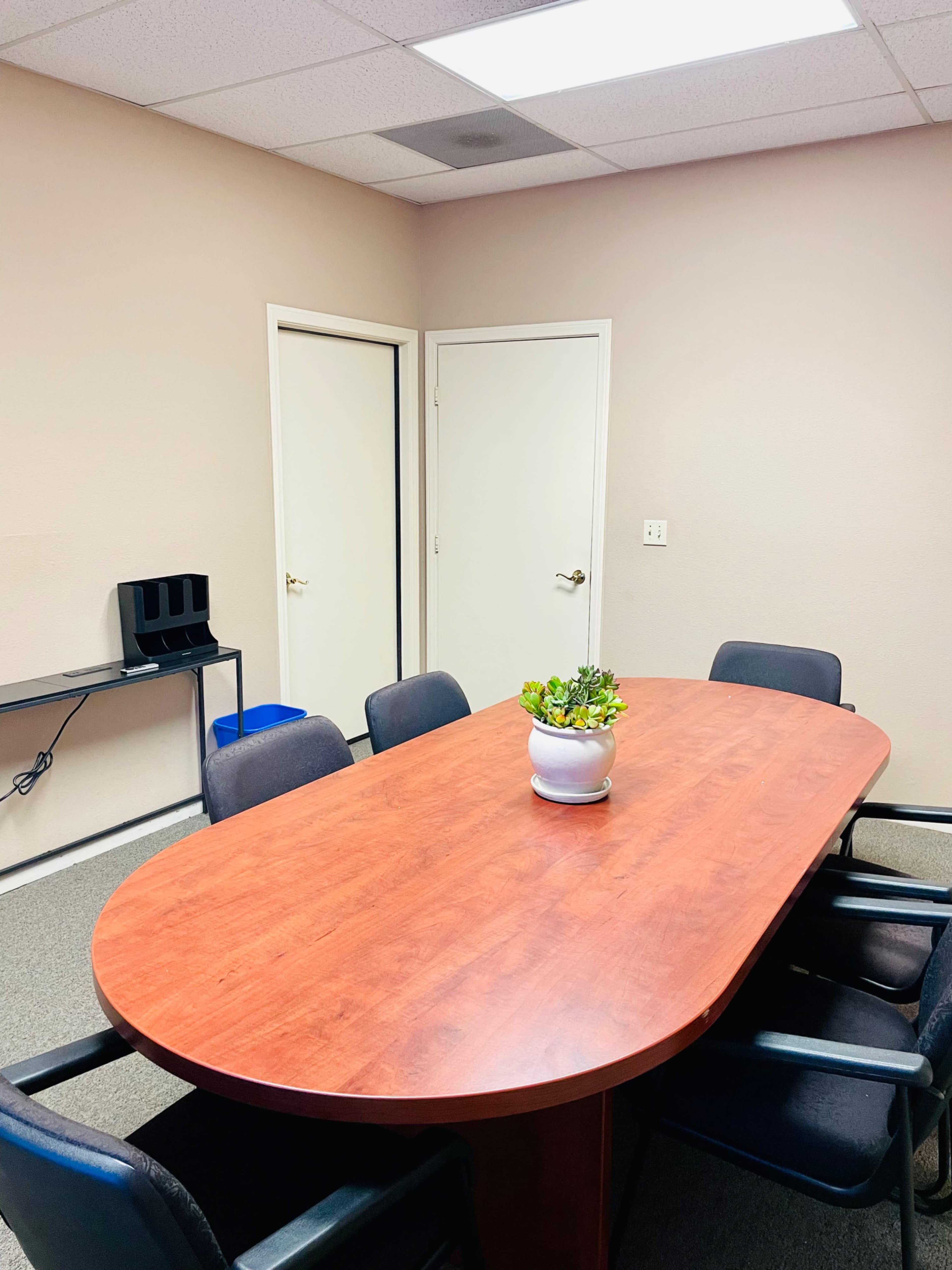A conference room features a large brown oval table surrounded by black chairs, with a potted plant in the center and a closed door on one side.