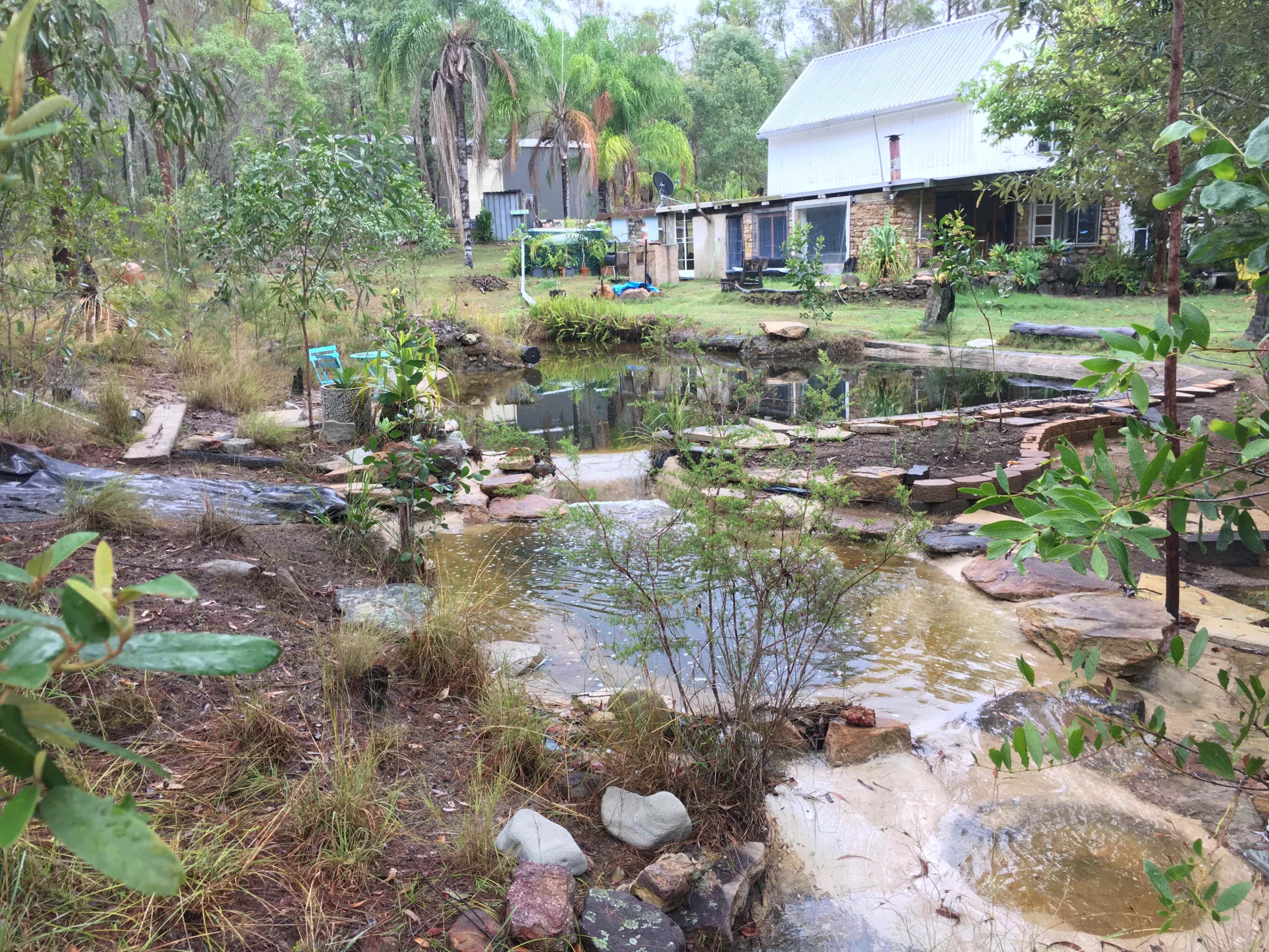 The image shows a landscaped garden with a pond surrounded by rocks, grasses, and various plants, with a building visible in the background.