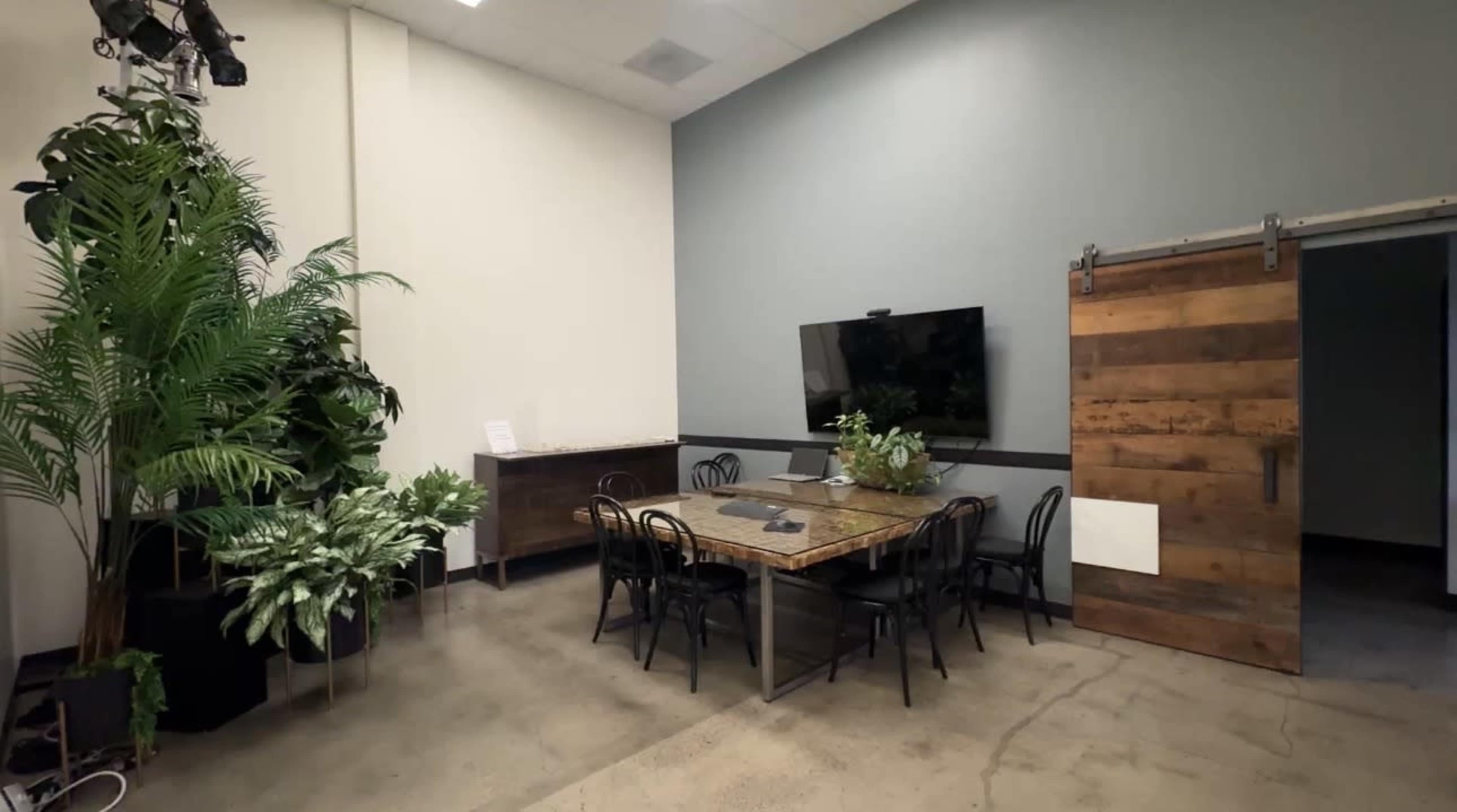 The image shows a modern meeting room with a large wooden table, black chairs, a television on the wall, and large plants in the corners.