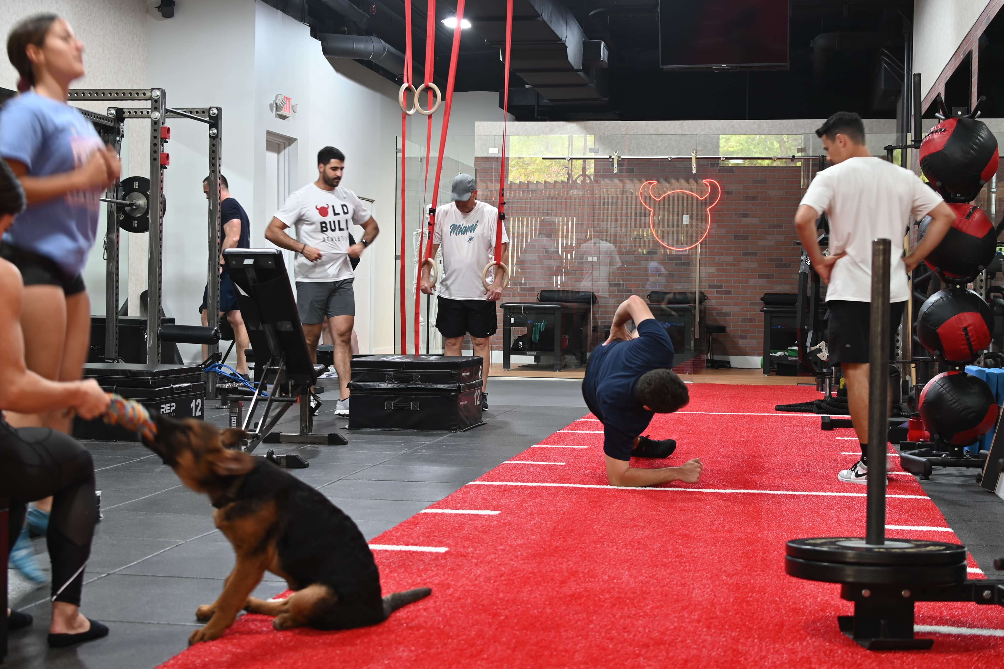 A group of people workout in a gym area featuring exercise equipment, red flooring, and a dog sitting nearby.