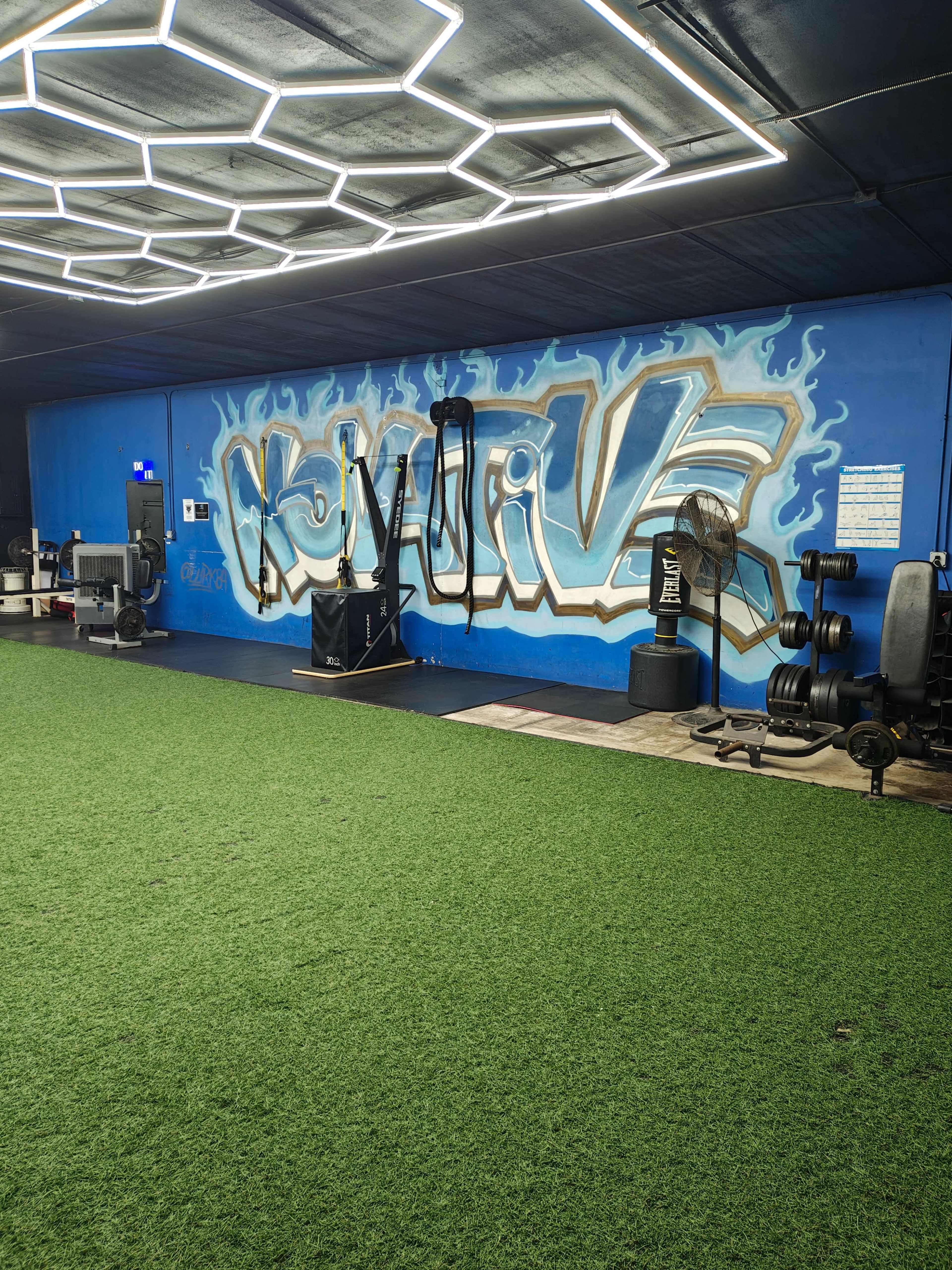 Inspiring Fitness Facility w/ Great Lighting Image in Northeast Houston, Houston, TX