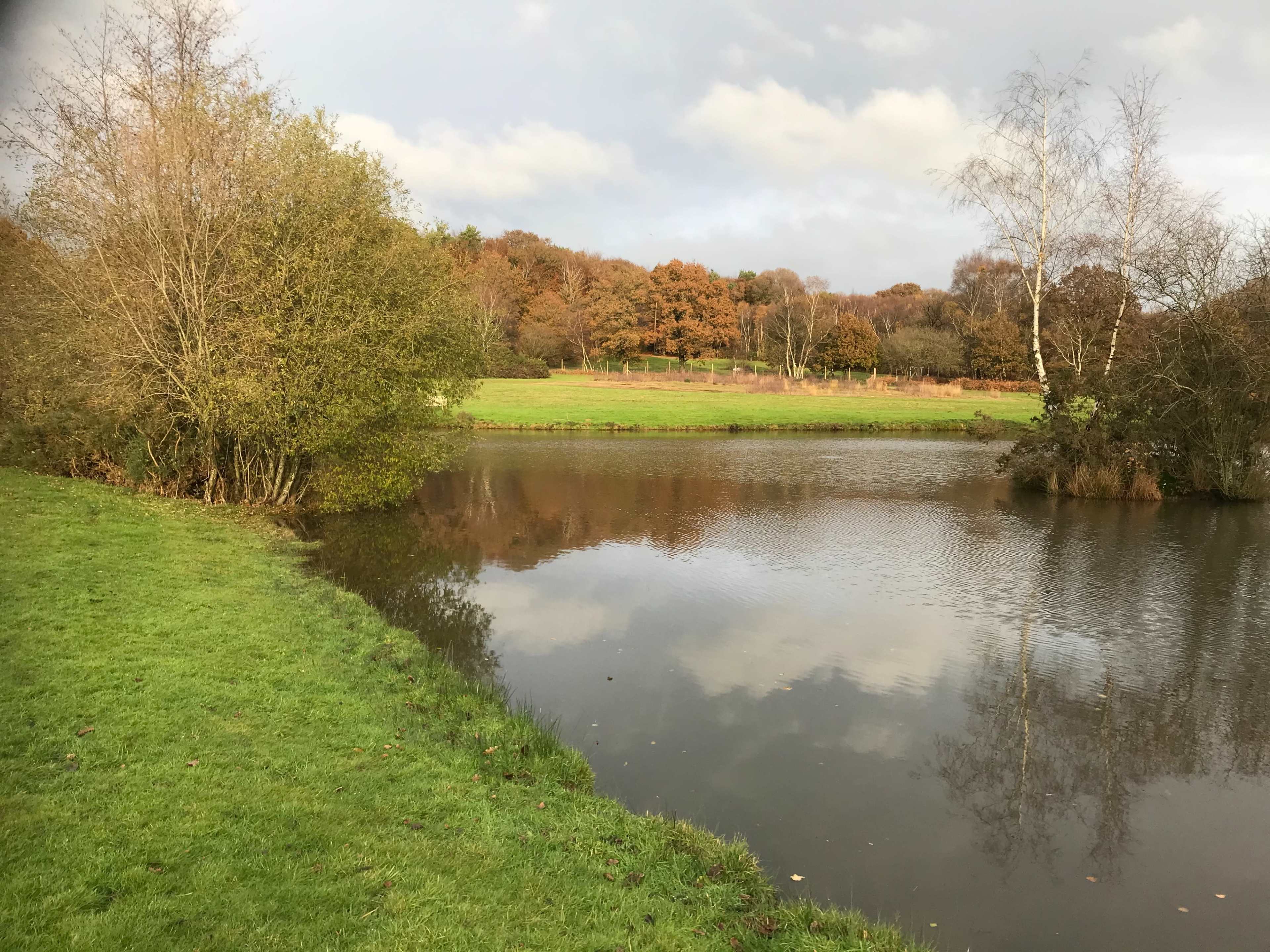 A grassy bank slopes down to a calm pond reflecting trees and a cloudy sky.