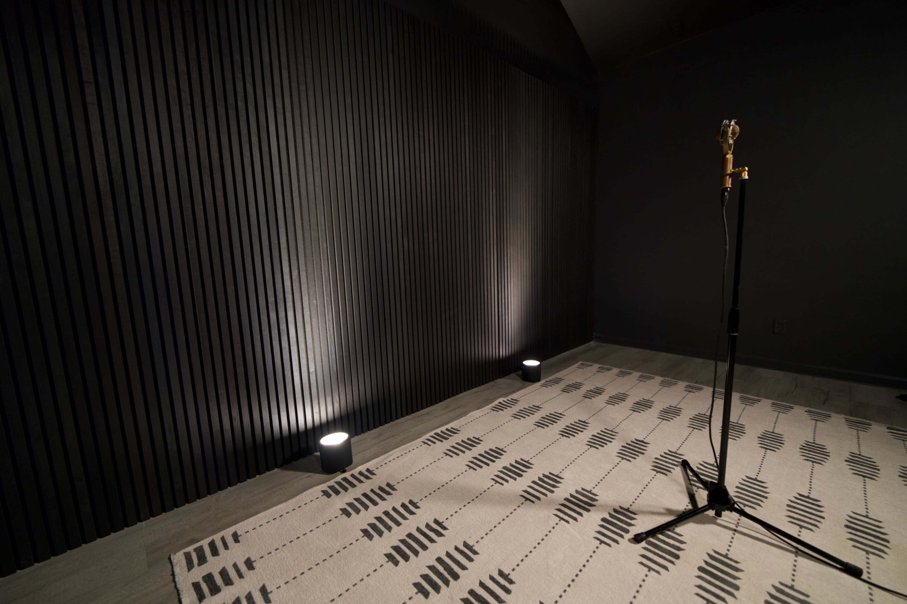 The image shows a dimly lit studio space featuring a microphone stand on a patterned rug, against a backdrop of vertical wooden slats.