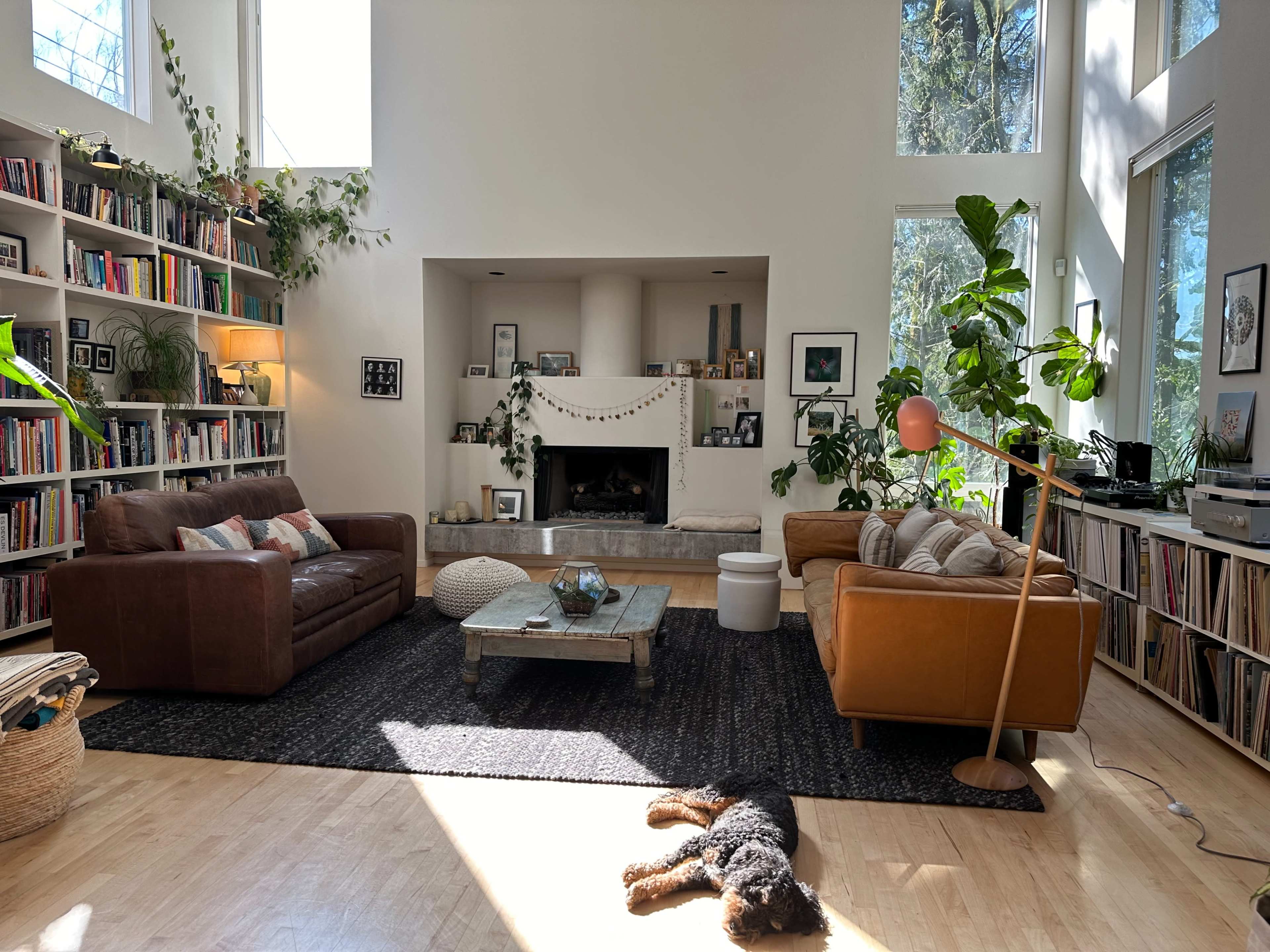 The spacious living room features a brown sectional couch, a yellow armchair, a large coffee table, bookshelves filled with books, and a dog lying on a dark rug under bright sunlight.