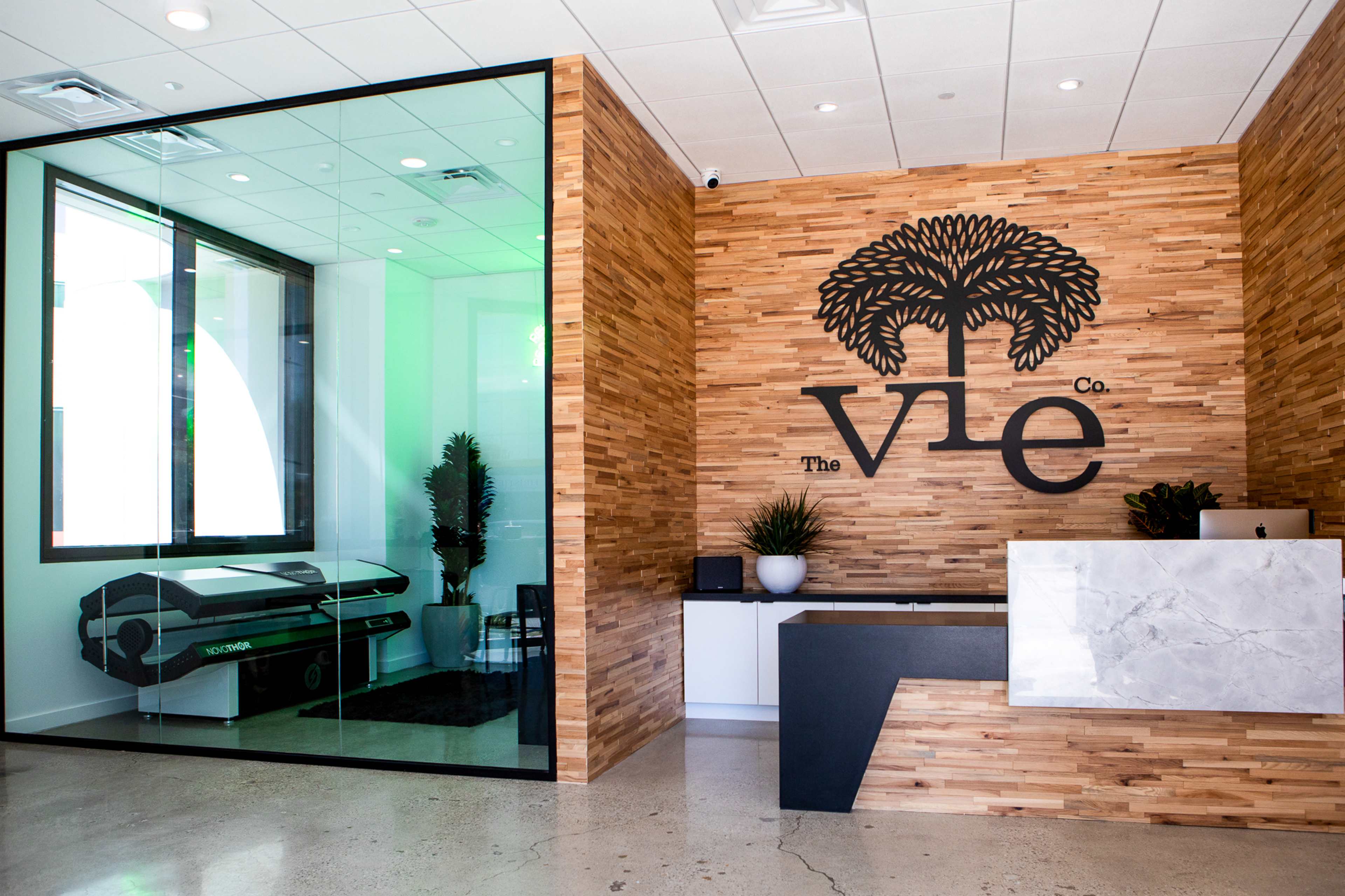 The image shows a modern reception area with a wooden accent wall, a marble front desk, and a glimpse of a lounge area featuring greenery and a unique seating arrangement.