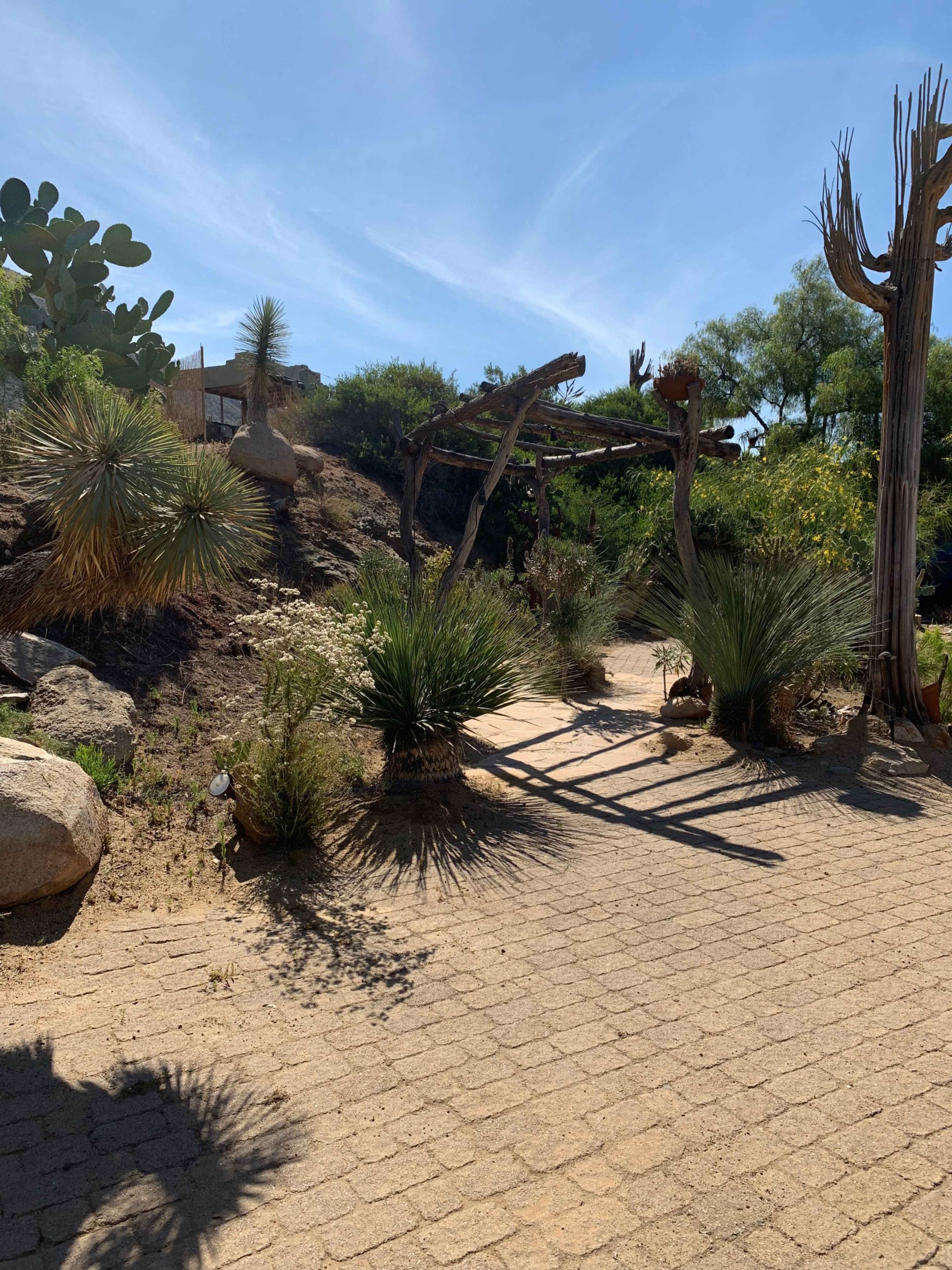 The image shows a landscaped desert garden path lined with various plants, rocks, and a wooden structure in the background under a clear blue sky.