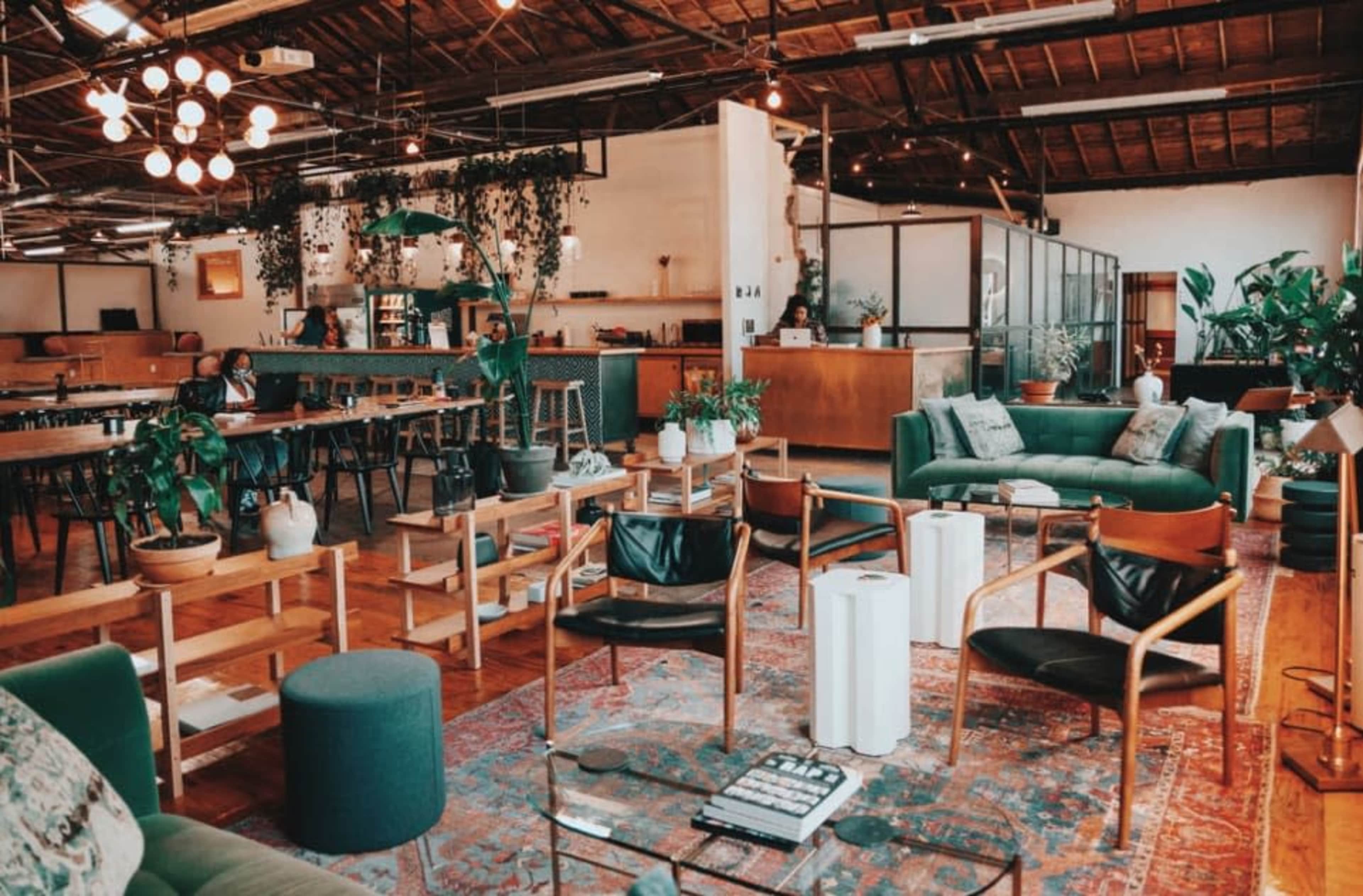 The image shows a spacious, modern café with various seating arrangements, plants, and a mix of tables and lounge areas.