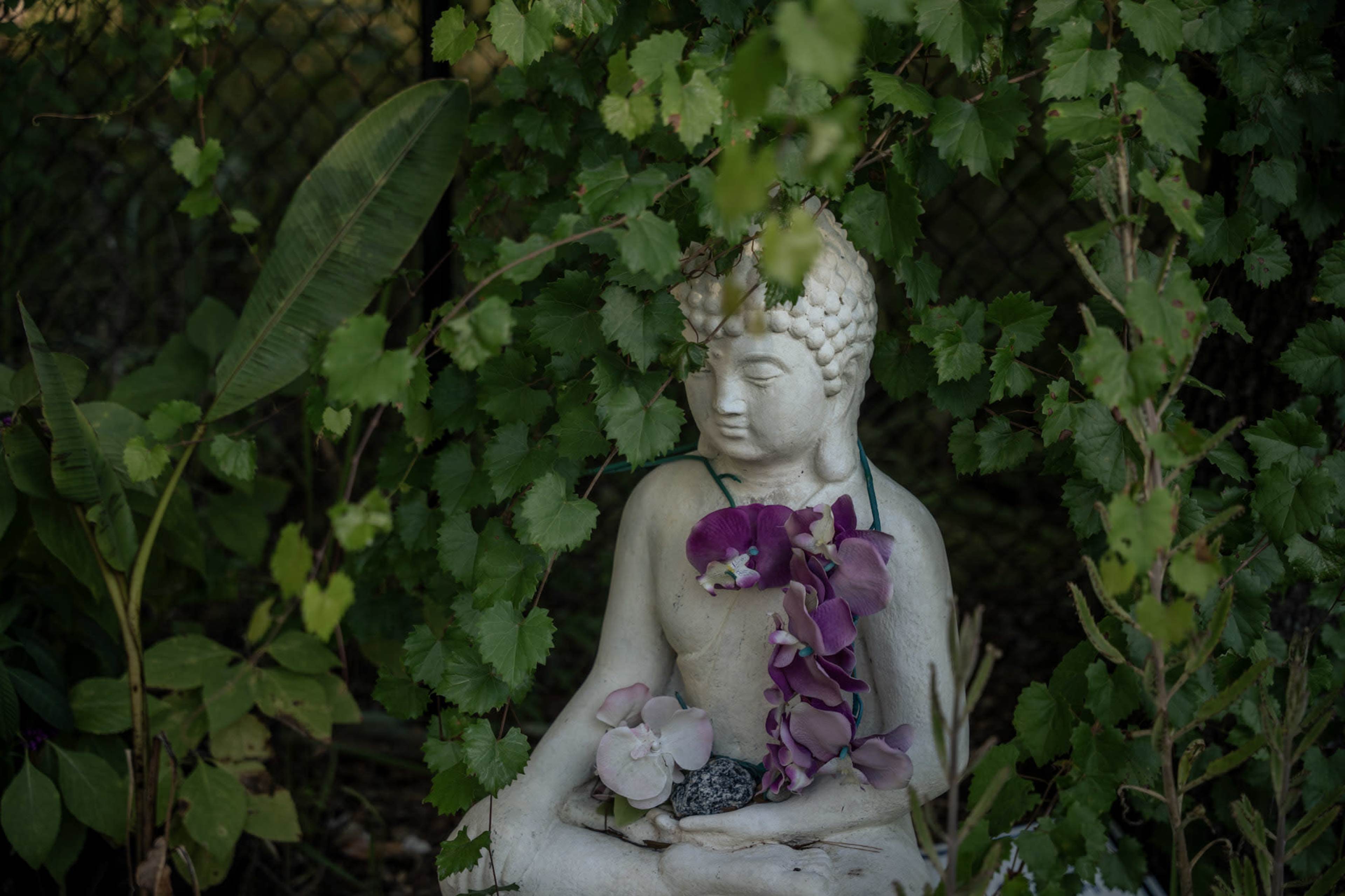A white statue of Buddha adorned with purple orchids sits surrounded by lush green foliage.