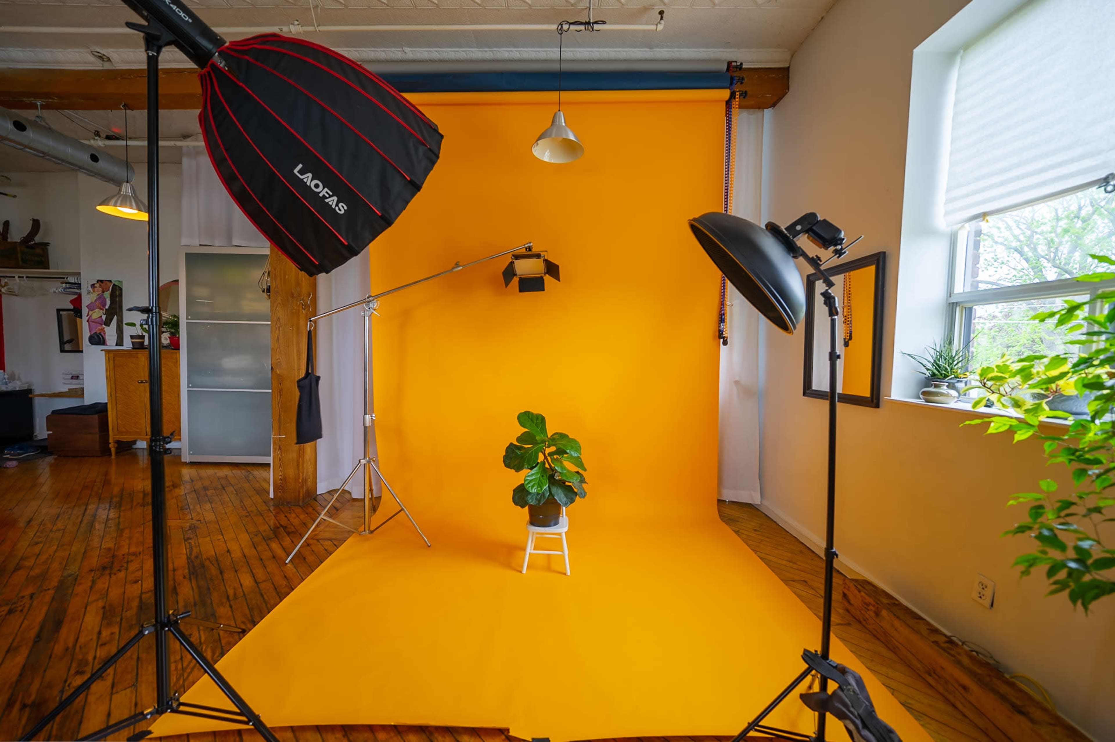 The image shows a photography studio setup with a bright yellow backdrop, lighting equipment, and a small potted plant on a white stool.