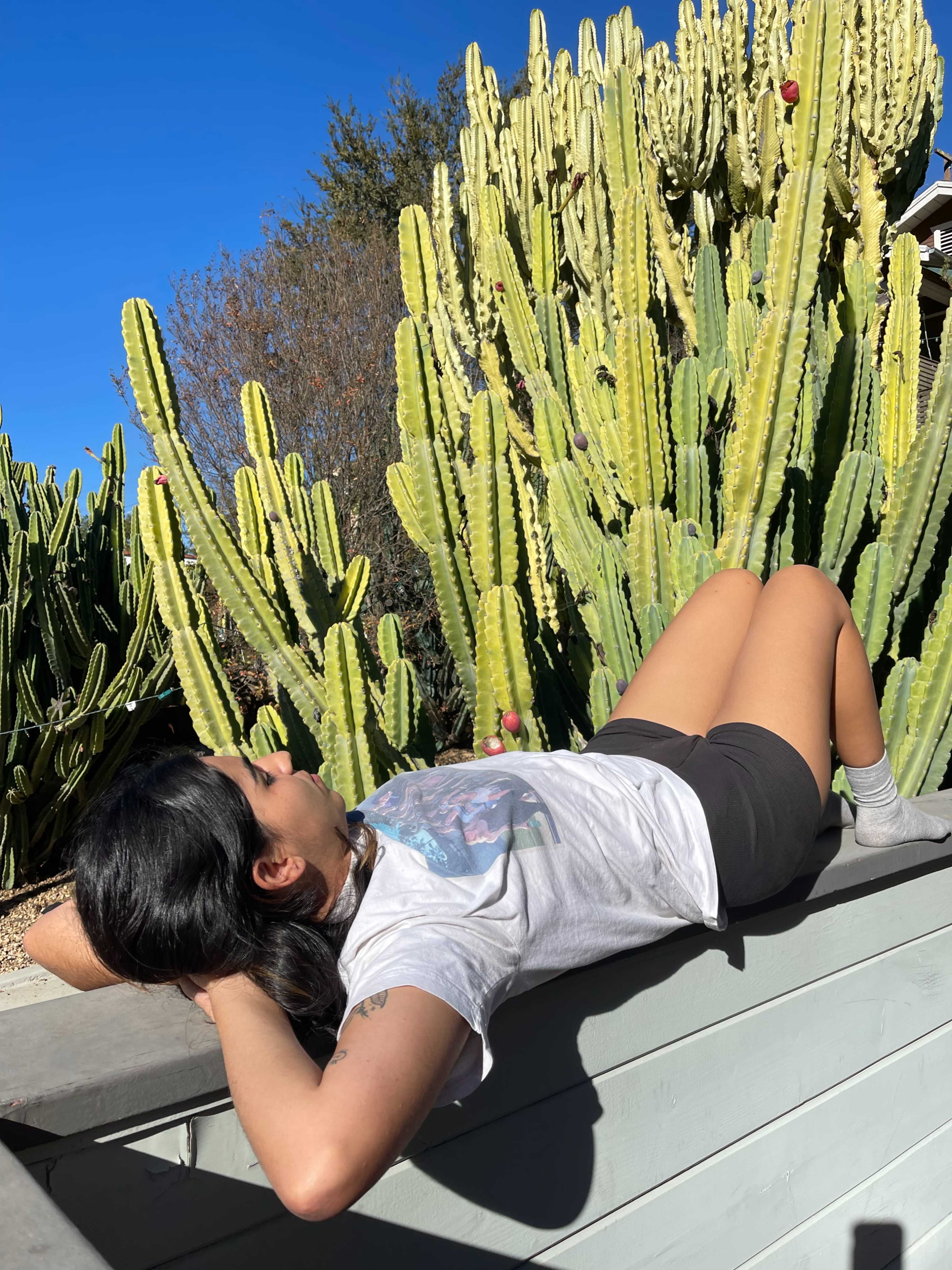 A person is reclining on a wooden structure beside tall cacti under a clear blue sky.