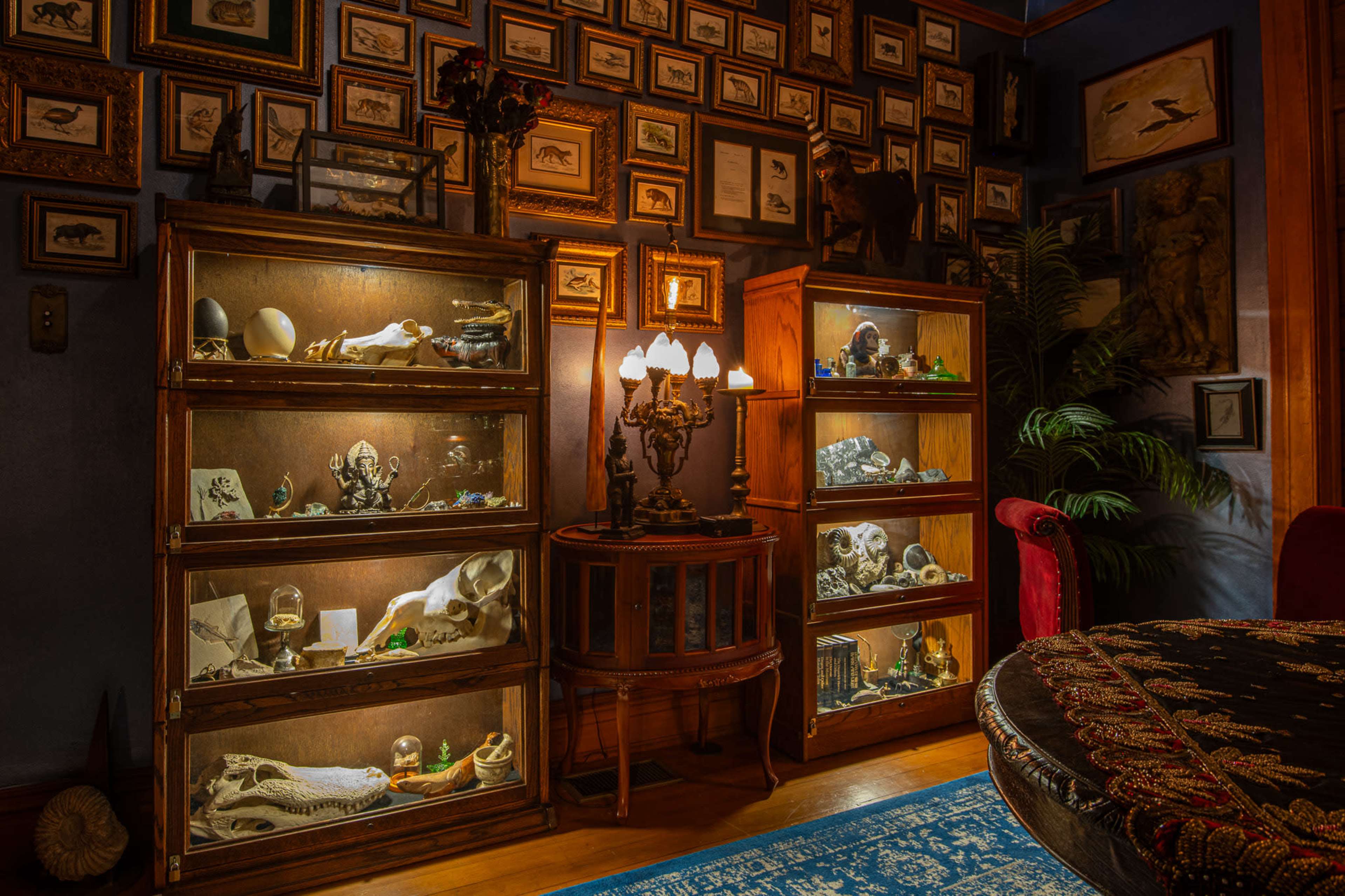 The image shows a warmly lit room featuring glass display cabinets filled with various artifacts, specimens, and decorative objects, set against a wall adorned with framed pictures.