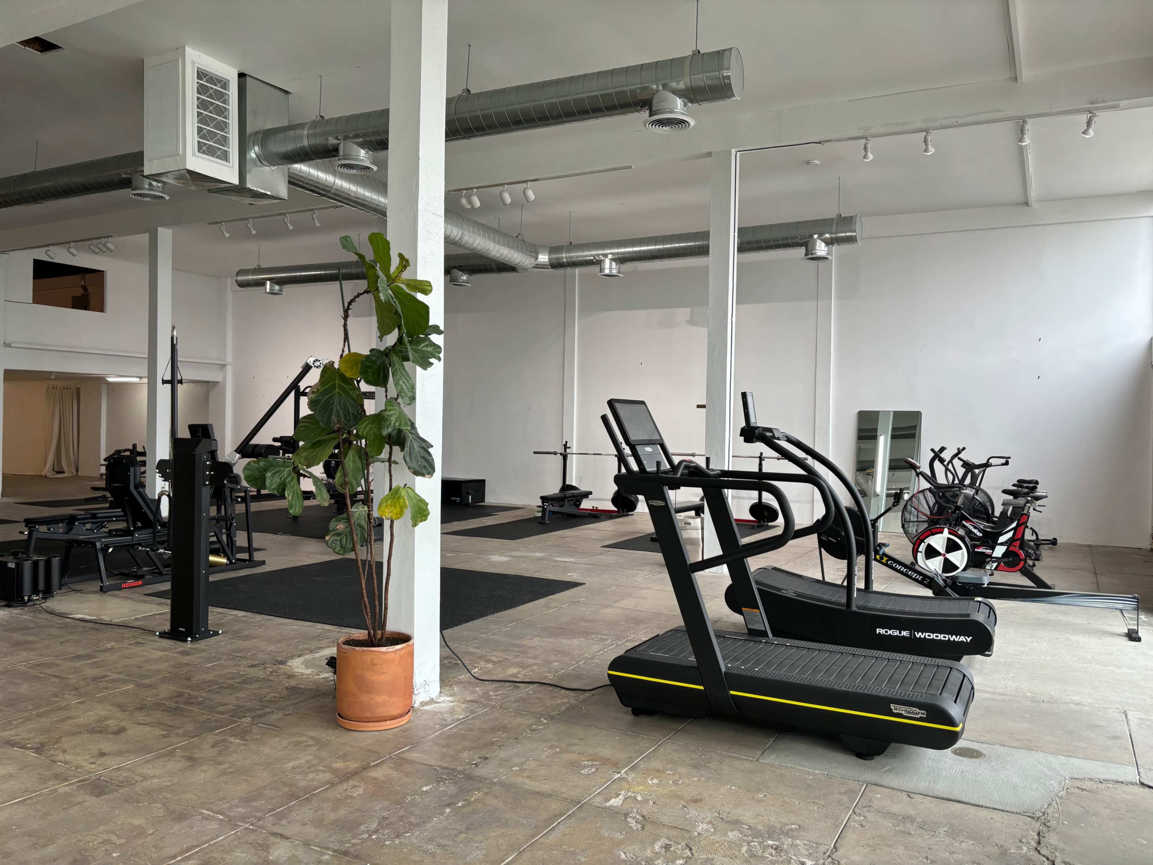 An empty gym space featuring various exercise equipment, including treadmills, stationary bikes, and weights, with a potted plant in the foreground.