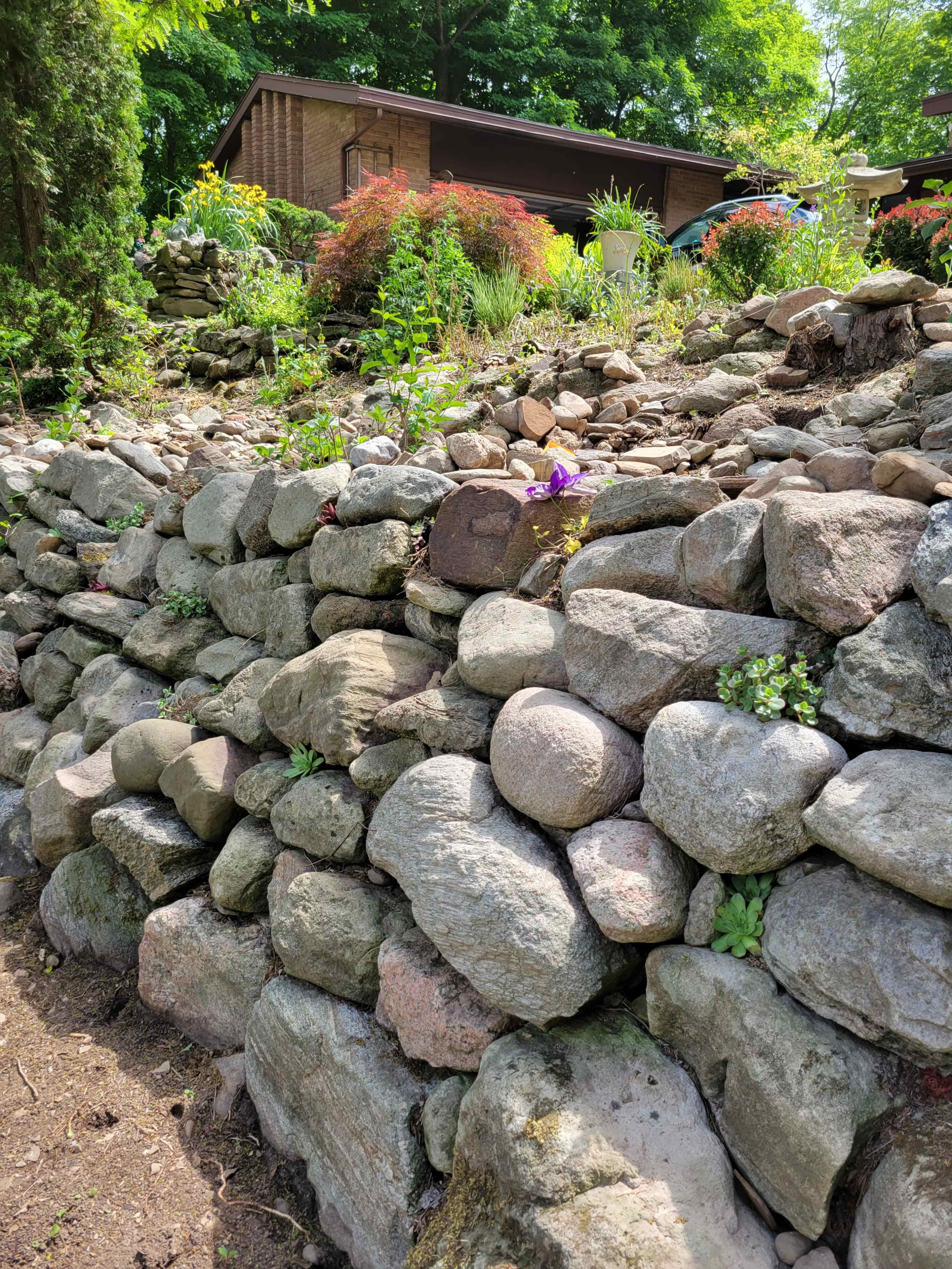 A stone wall made of irregularly shaped rocks supports a sloped garden filled with various plants and greenery.
