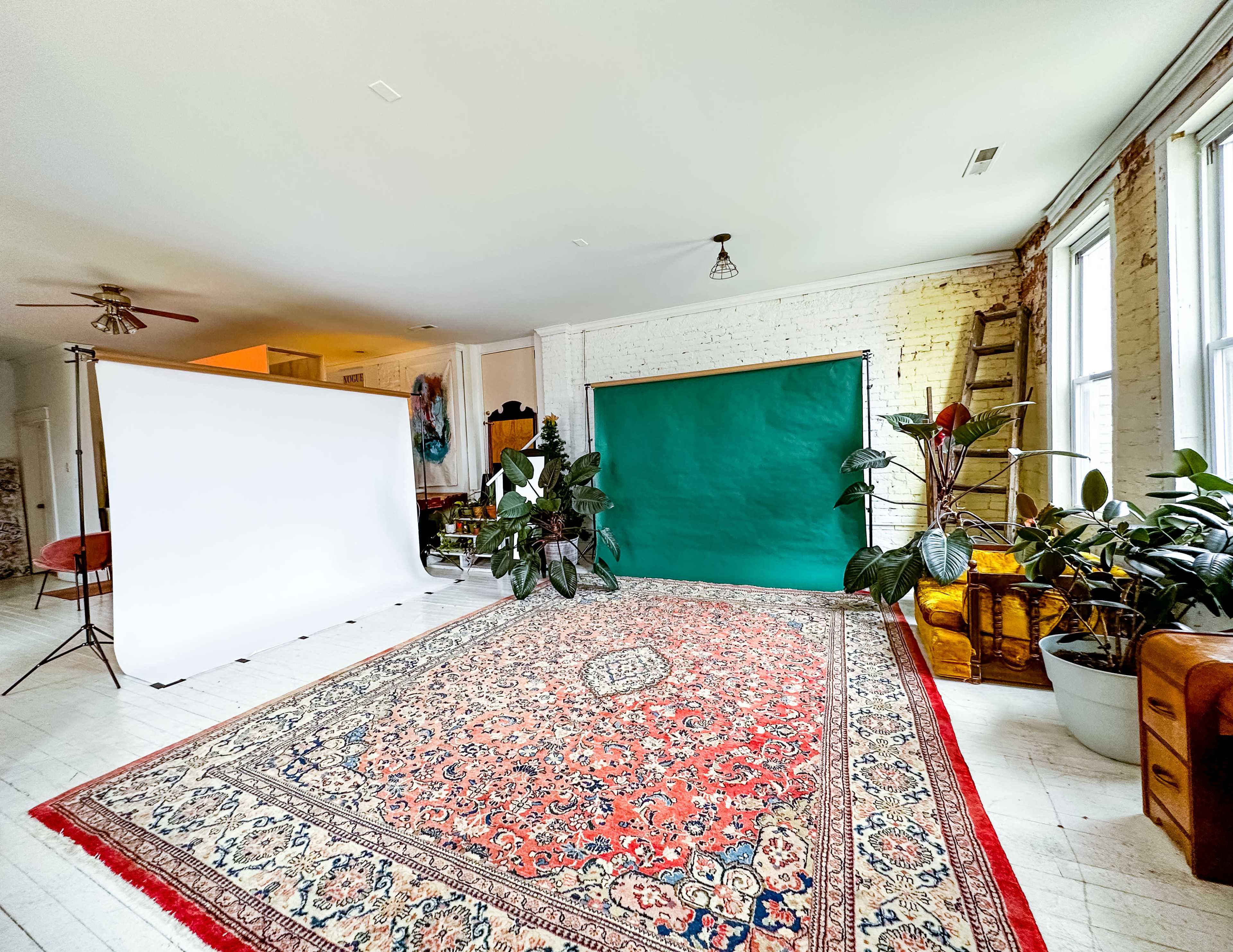 A spacious room with a large red and cream patterned rug, a green backdrop, a white backdrop on the left, and several potted plants.