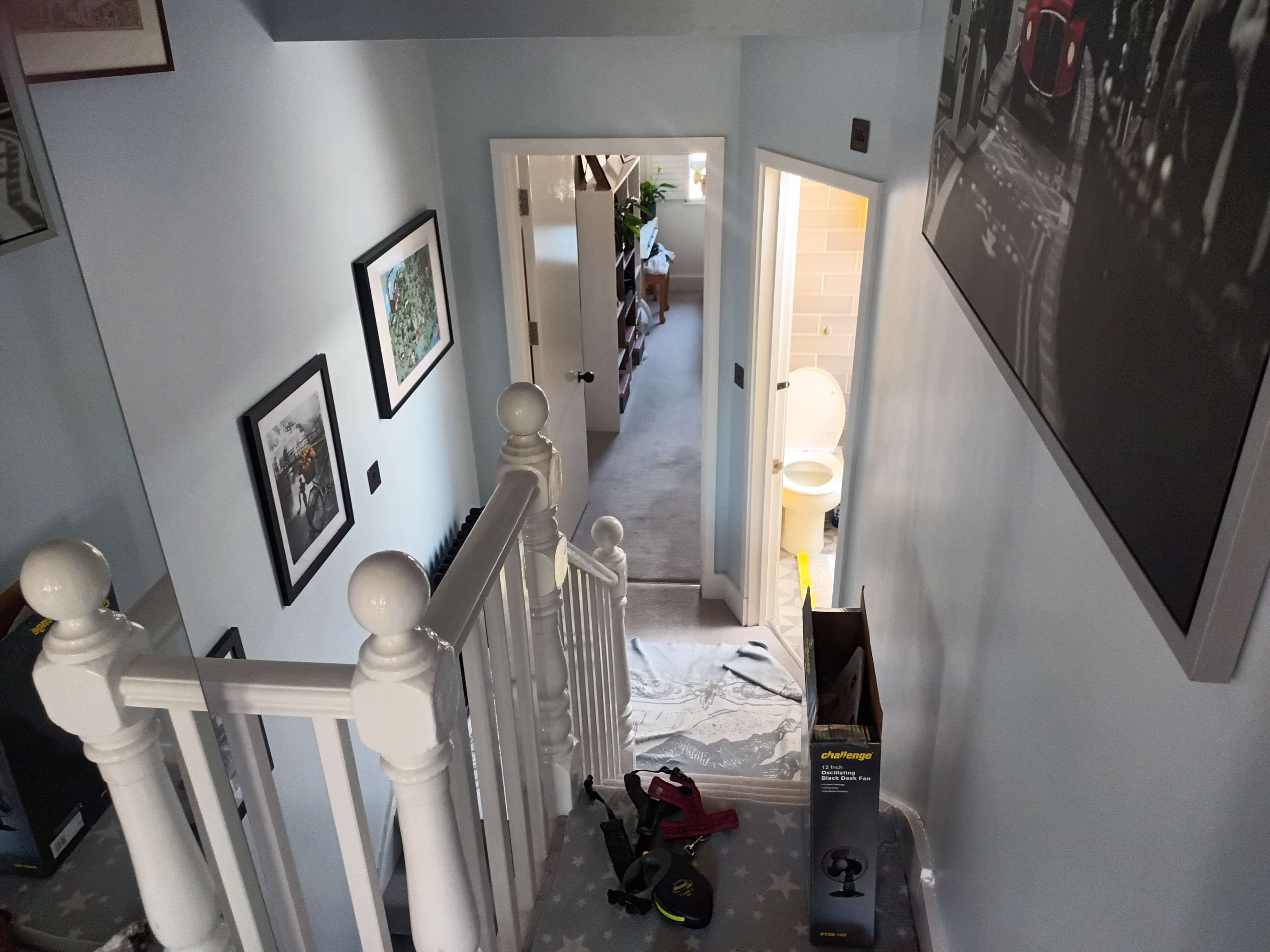 A staircase with white railings, leading to a hallway that includes a bathroom door and a room filled with bookshelves.