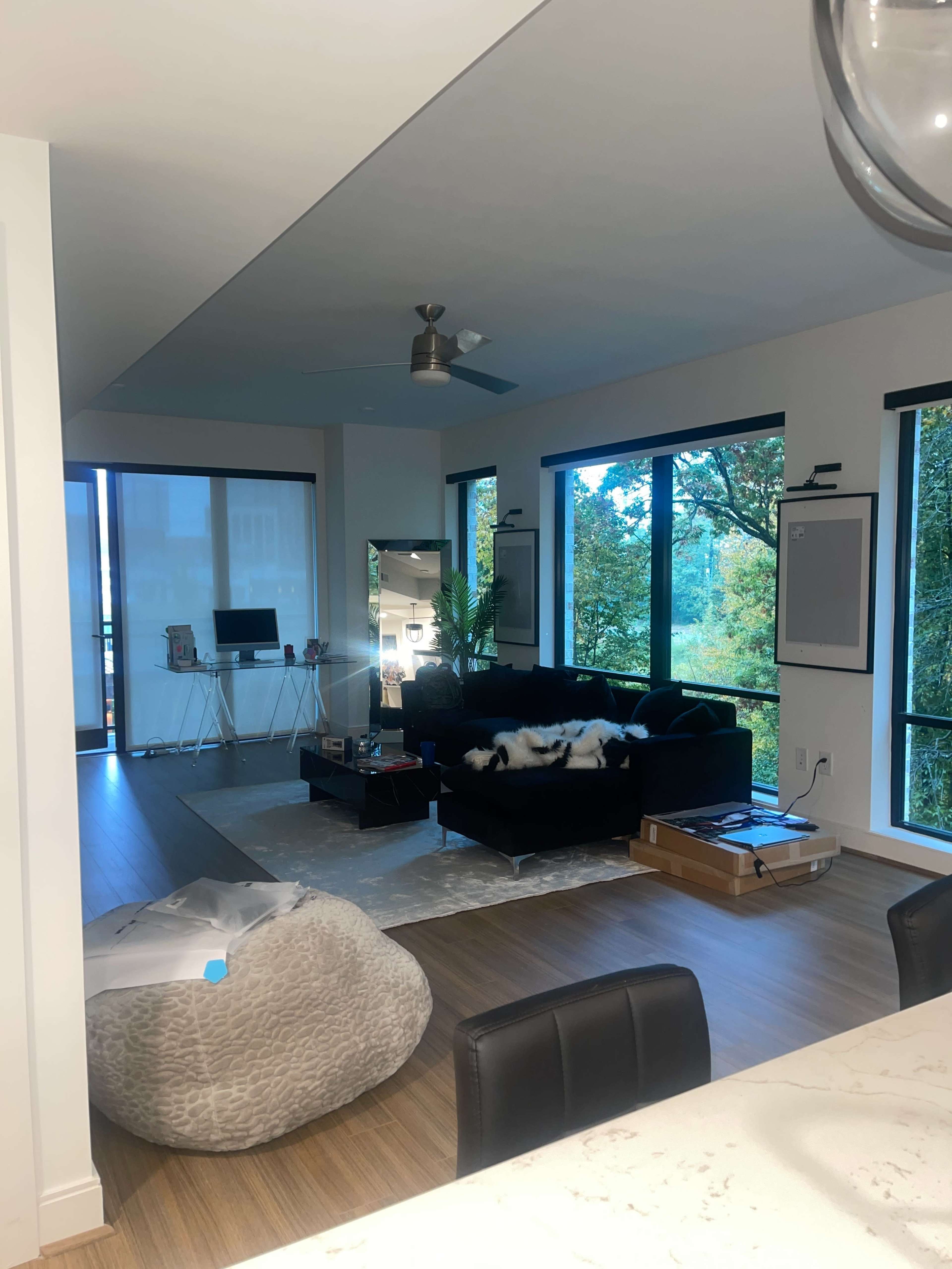 A modern living room features a black sofa, a light rug, a bean bag chair, and large windows with a view of trees.