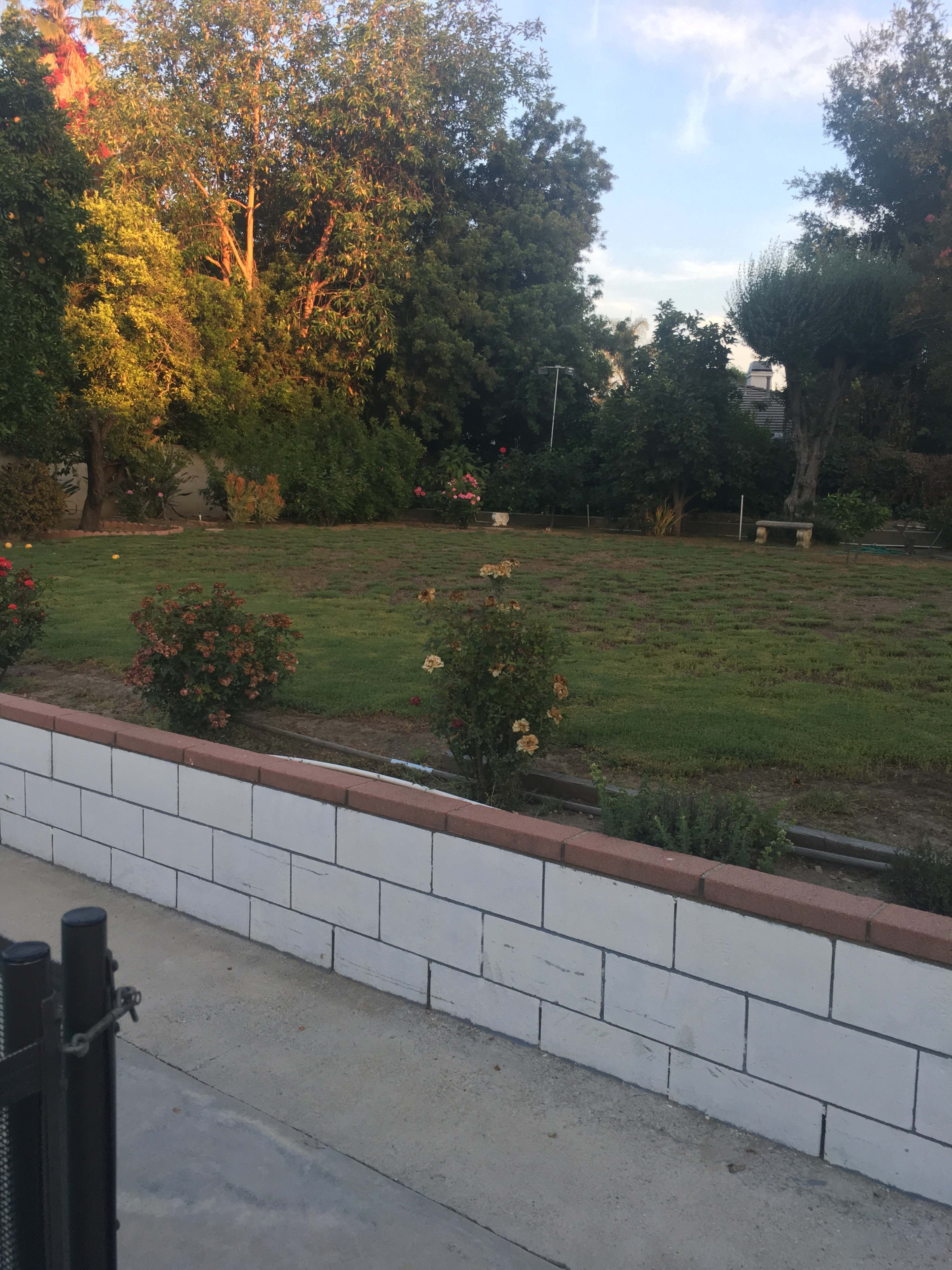 Suburban Victorian Style Home with Pool and Big Backyard Image in Tarzana, woodland hills, CA