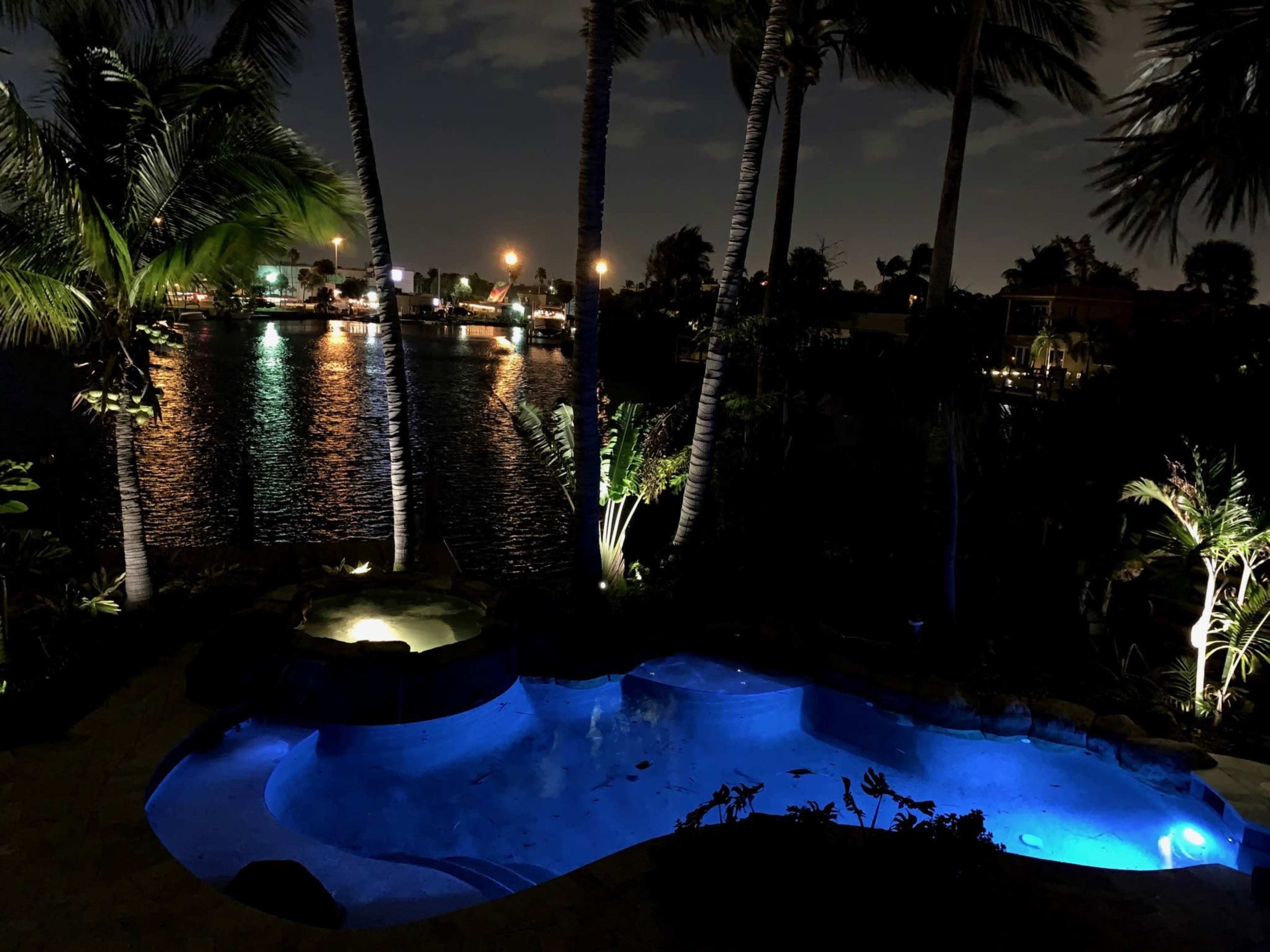 The image shows a illuminated pool surrounded by palm trees, with a waterfront view featuring city lights reflected on the water at night.