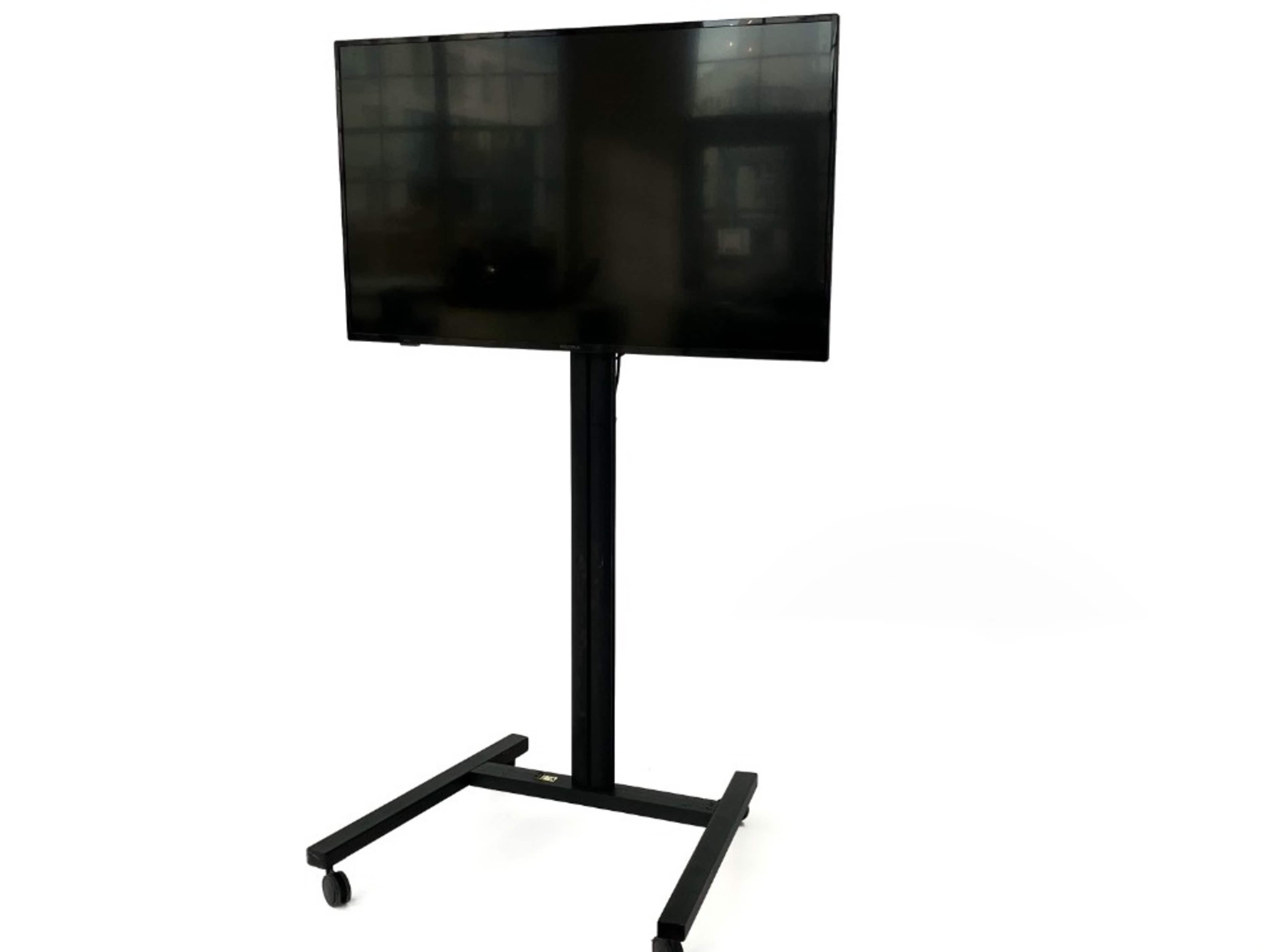 Mounted TV