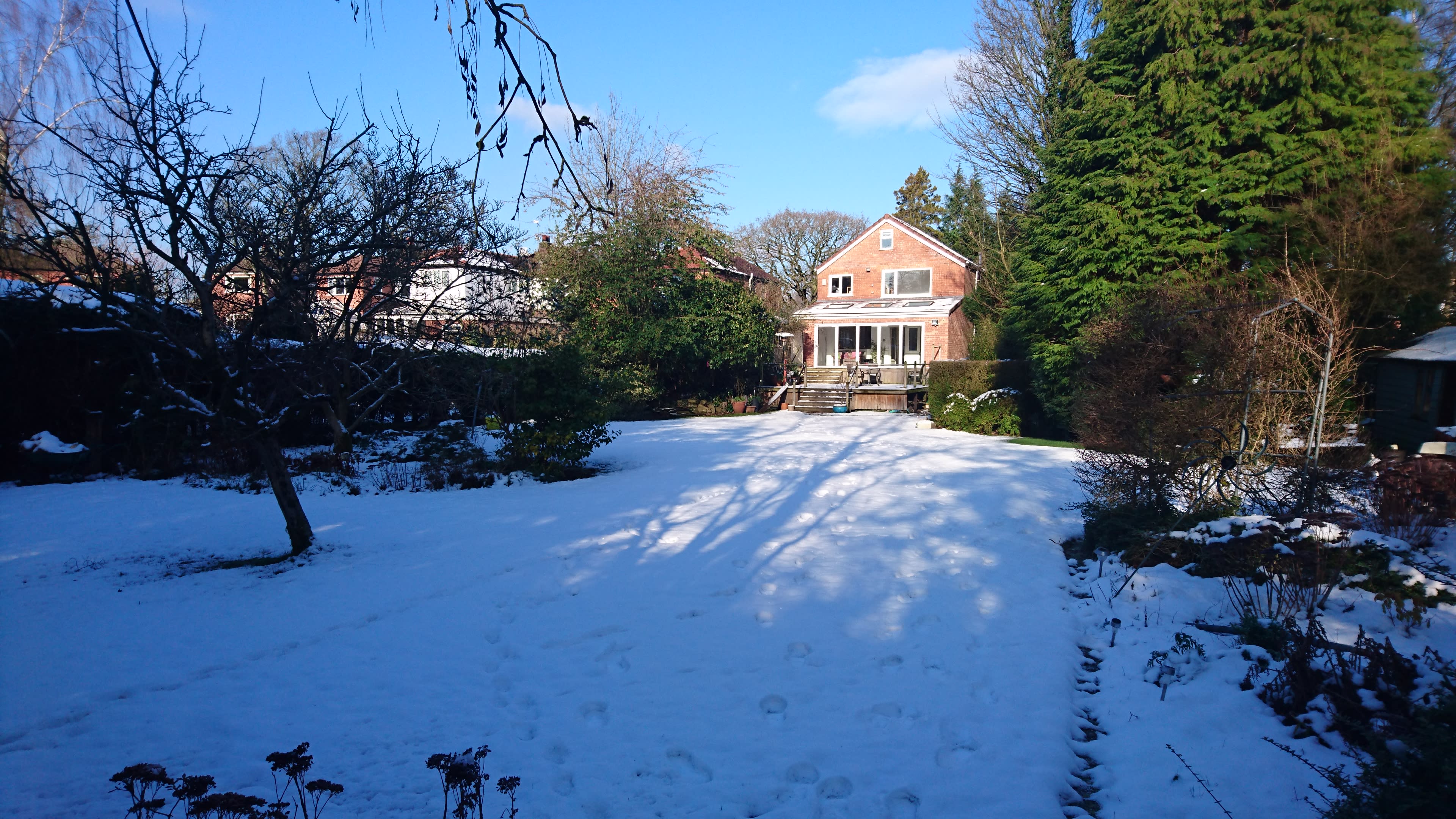 A snow-covered garden features a house in the background with a deck, surrounded by trees and shrubs.