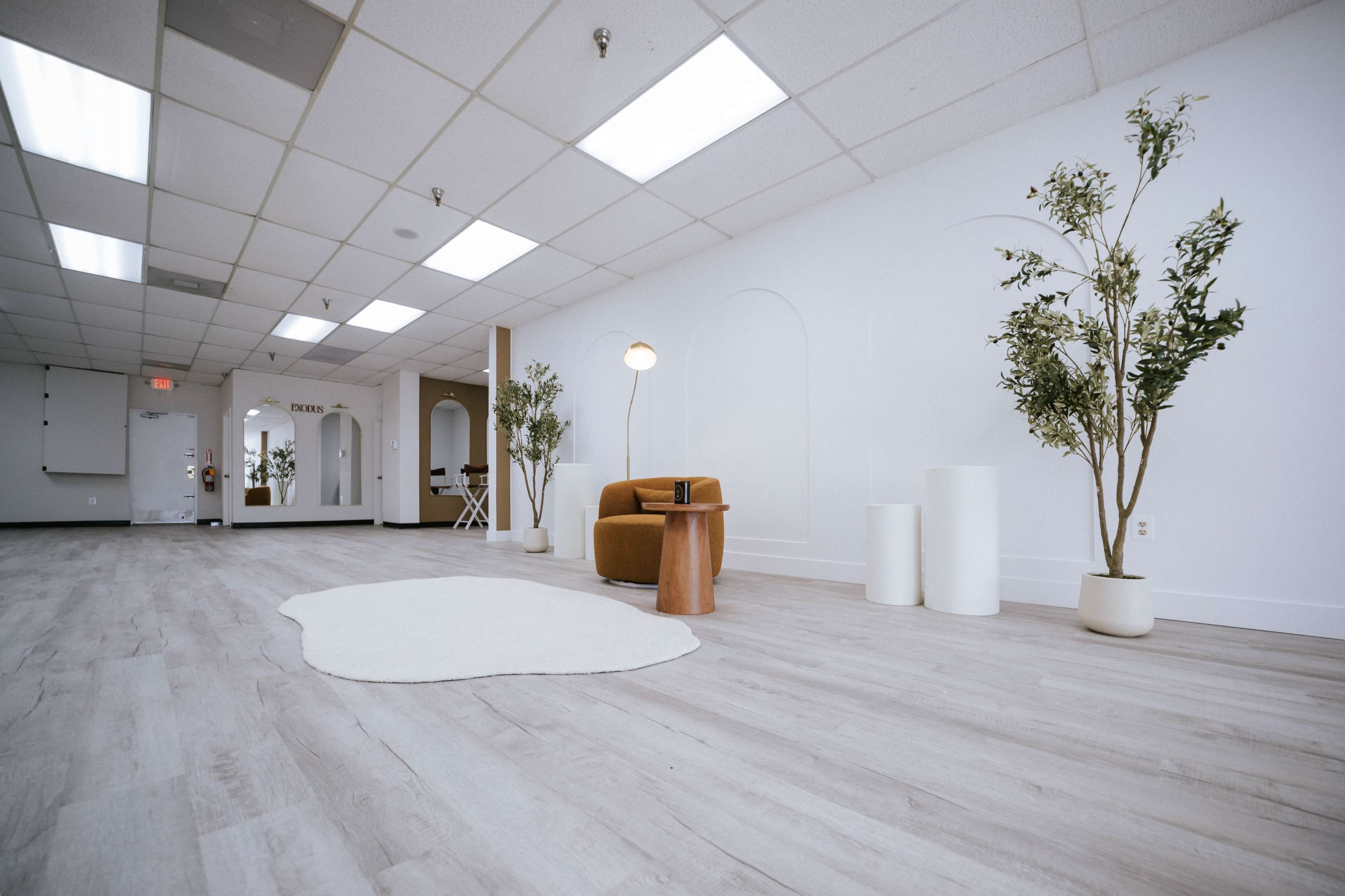 The image depicts a spacious, minimalist room with light wood flooring, featuring a curved sofa, a floor lamp, and several potted plants.