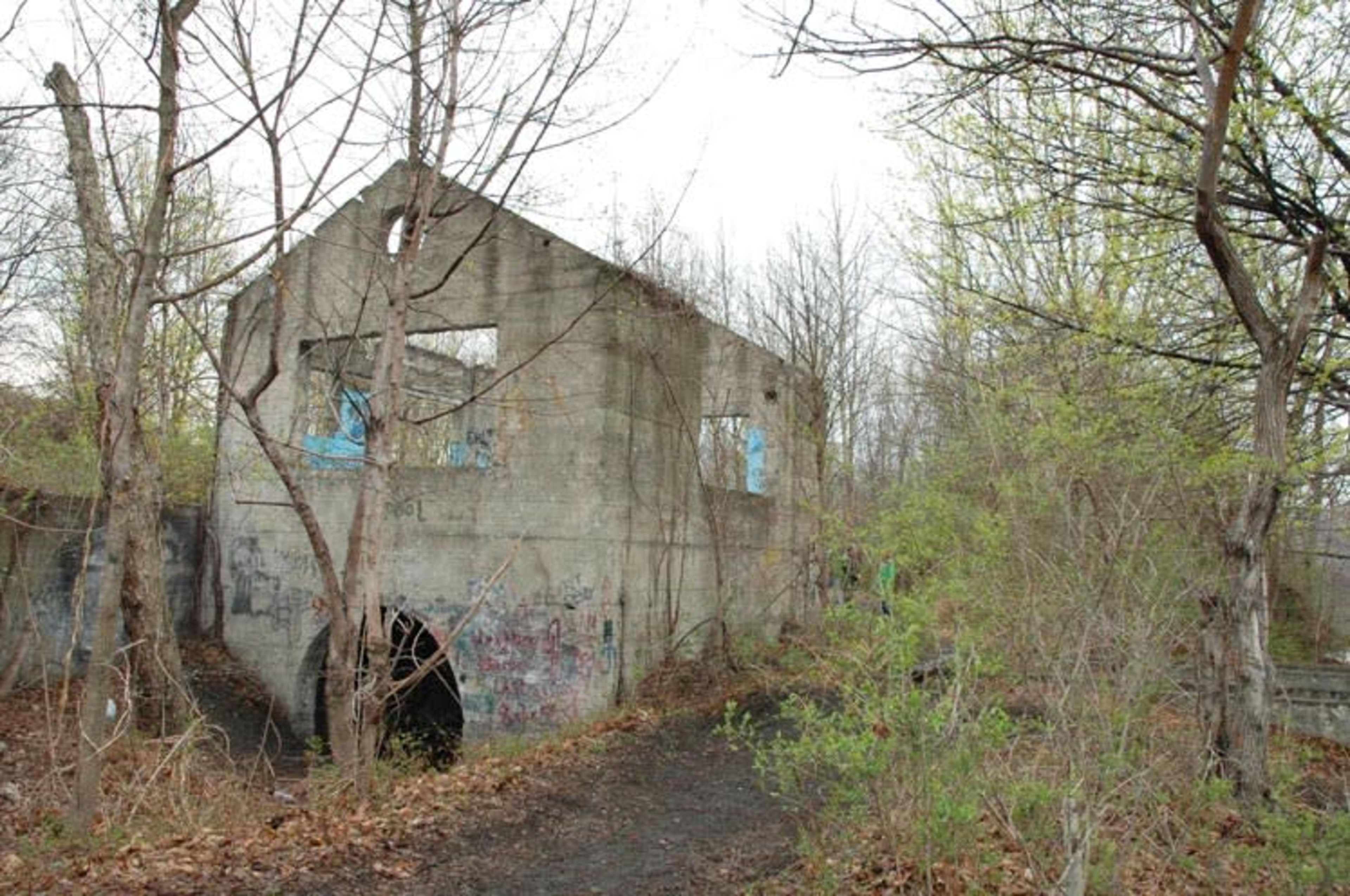 A dilapidated concrete building with broken windows is surrounded by overgrown trees and foliage.