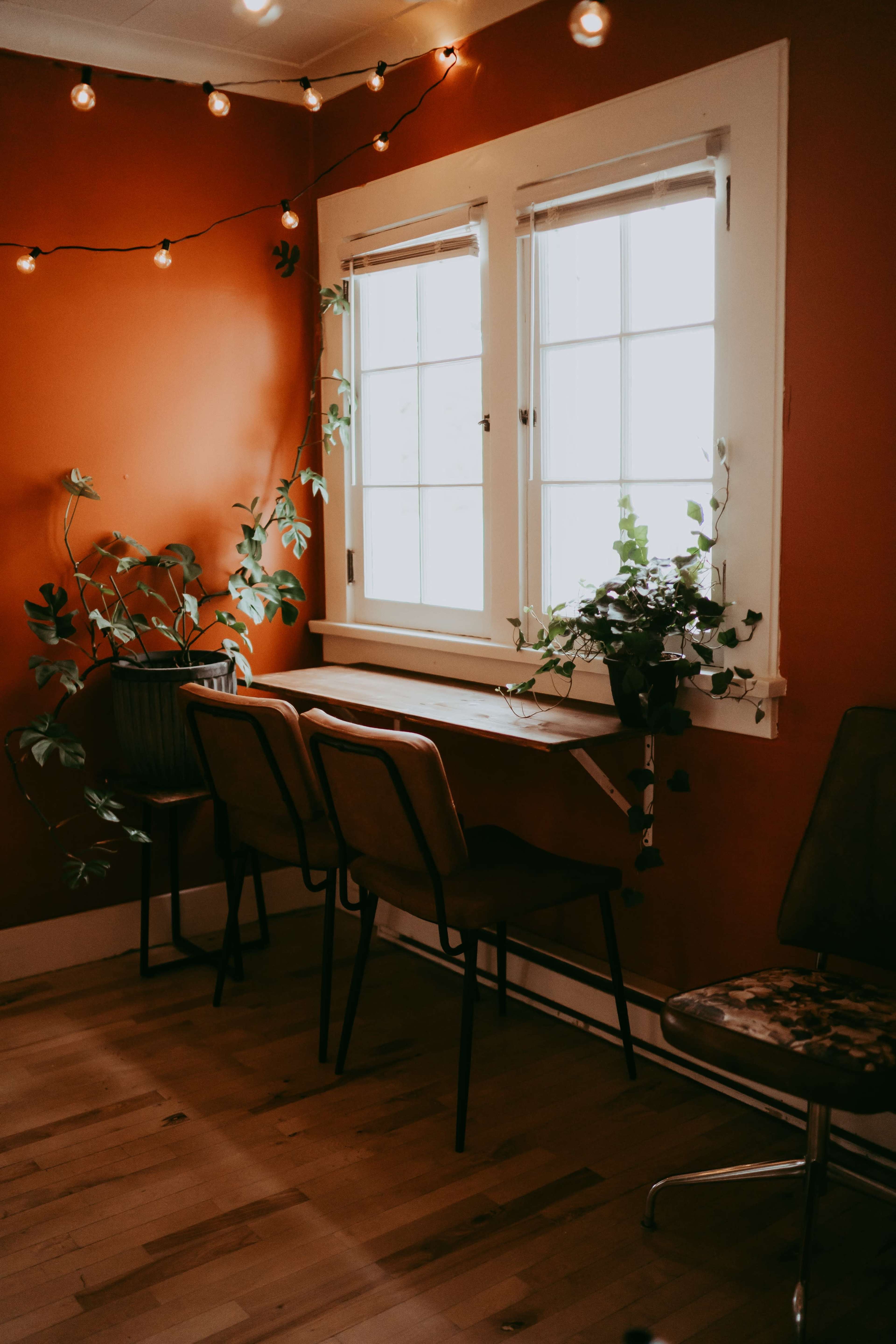 A cozy corner features a wooden table against an orange wall, flanked by several potted plants and illuminated by string lights.